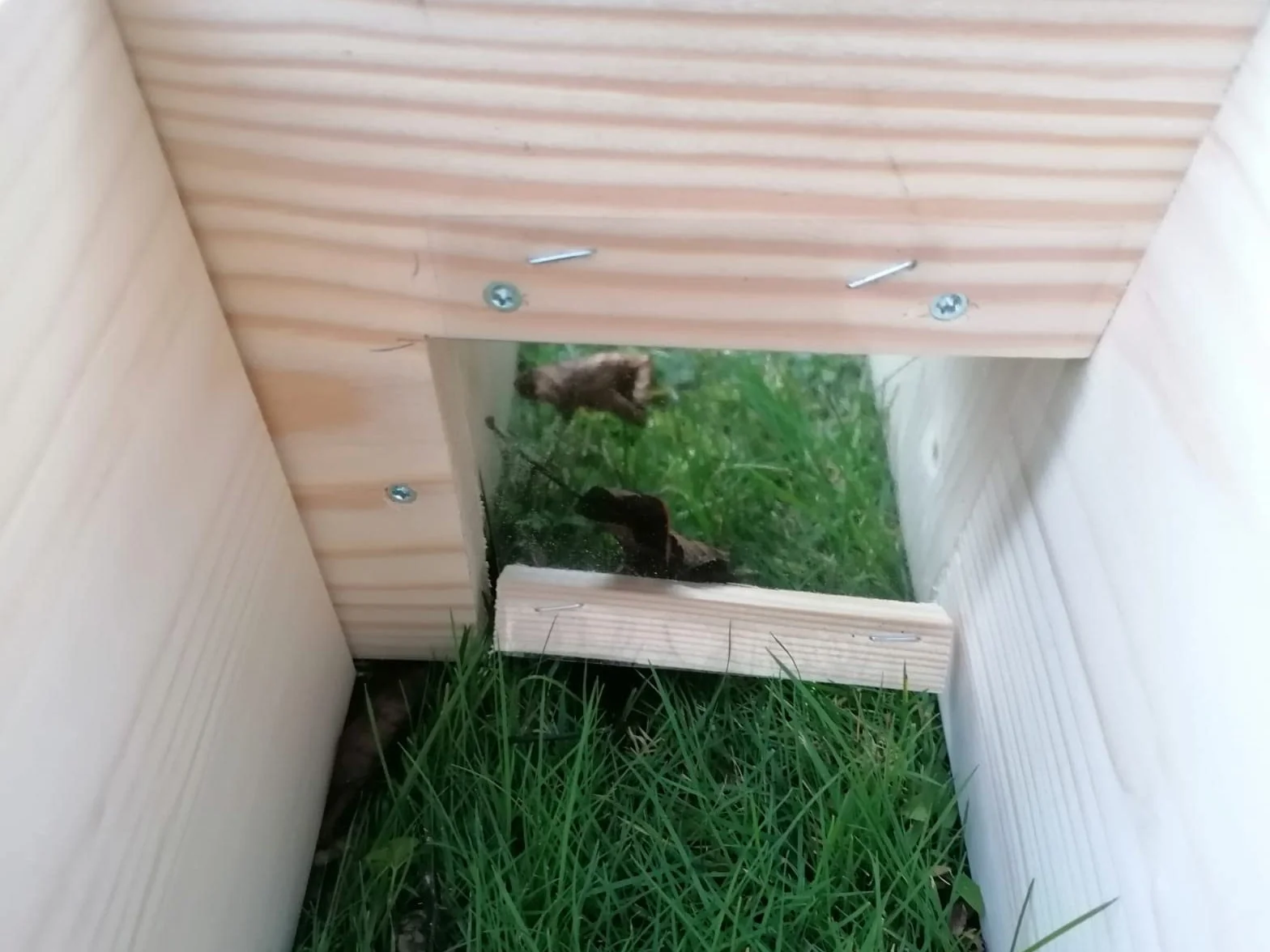 Abri pour hérissons Hôtel brûlé avec entrée labyrinthe et trappe anti-rats ouverture de toit
