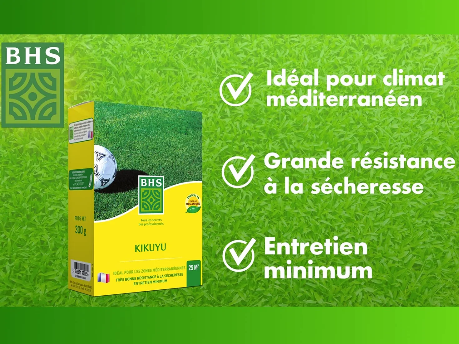 BHS Kikuyu Gazon Zones Méditerranéennes 300g 25 m² Résistant Fortes Chaleurs KIK300