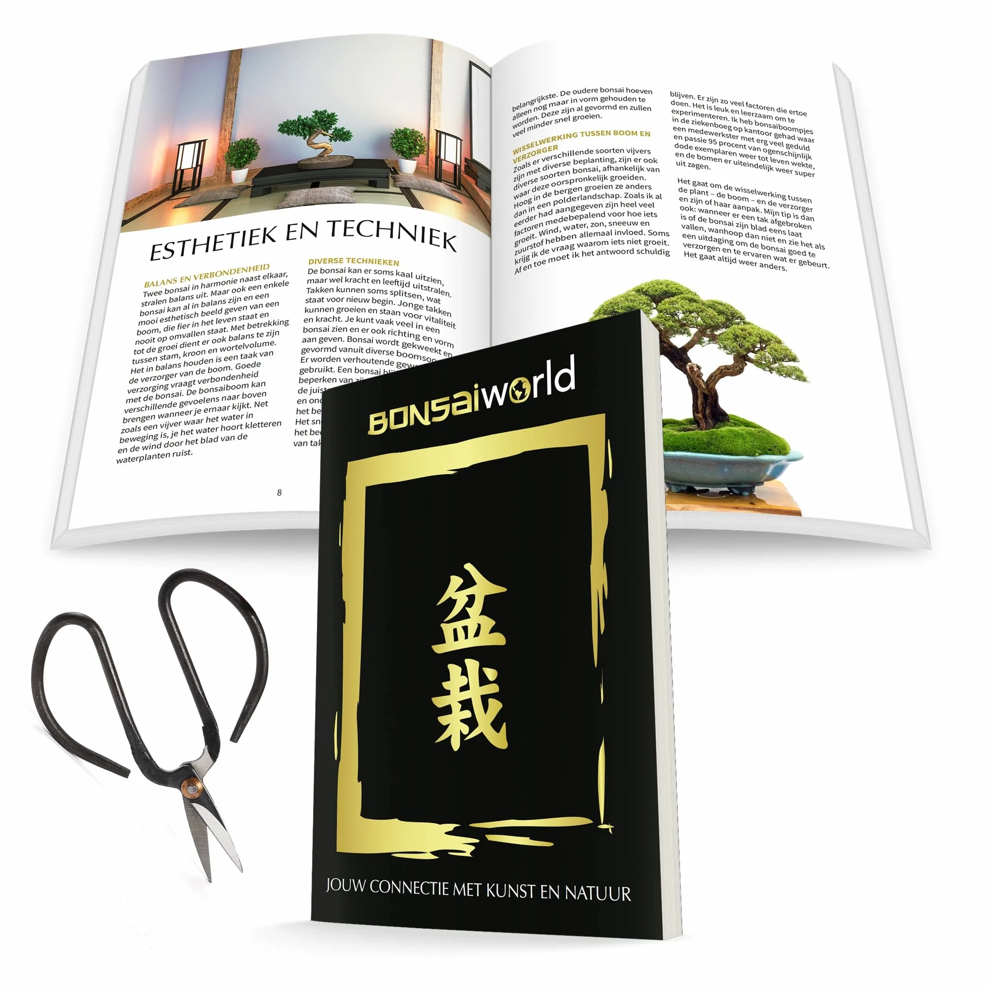 Bonsaï Starter Set avec Pot en Céramique Ciseaux Guide d'Entretien Plante d'Intérieur 25-30 cm pour Débutants