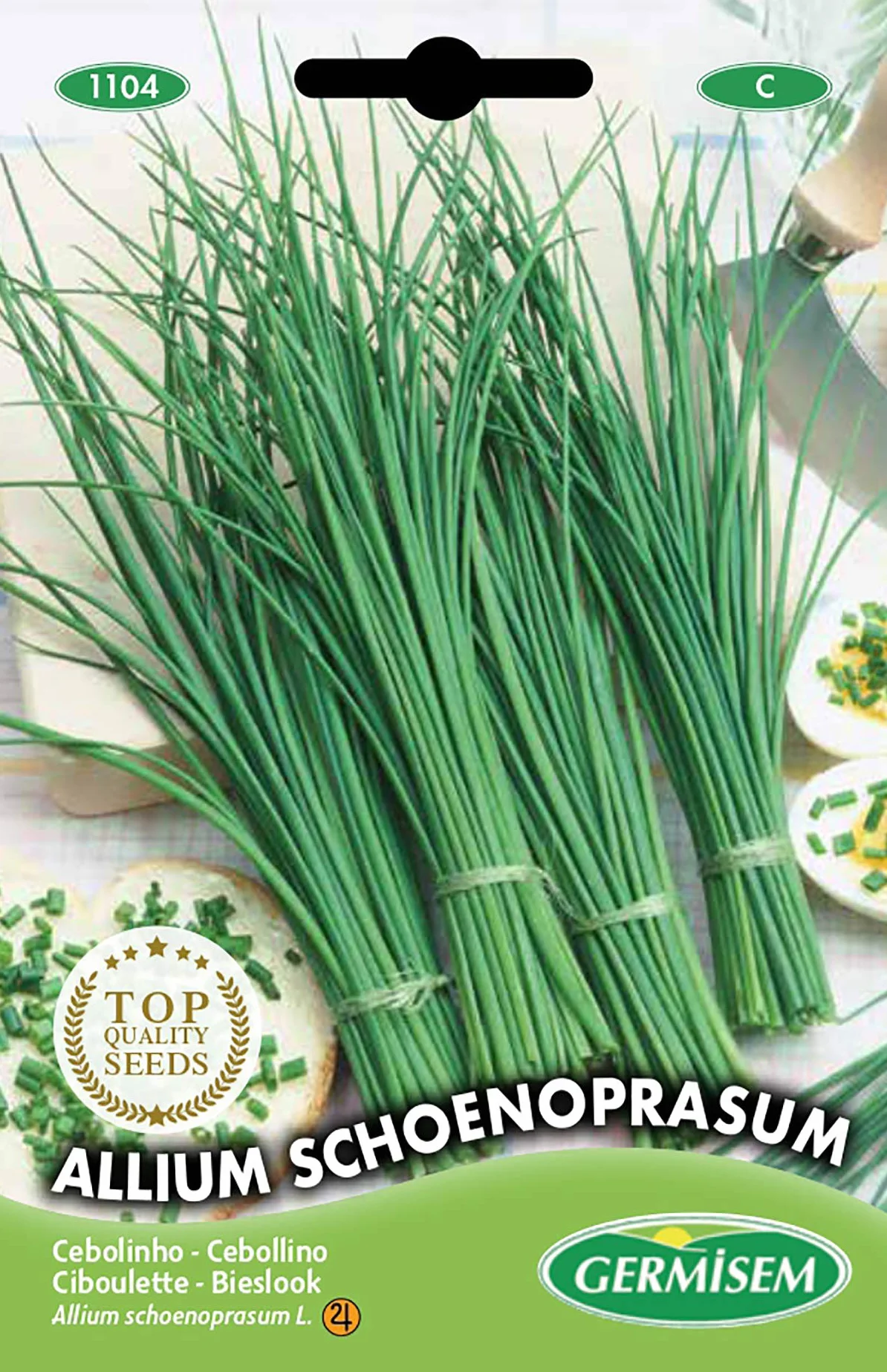 Germisem Allium Schoenoprasum Graines de Ciboulette 2 g EC1104 Multicolore