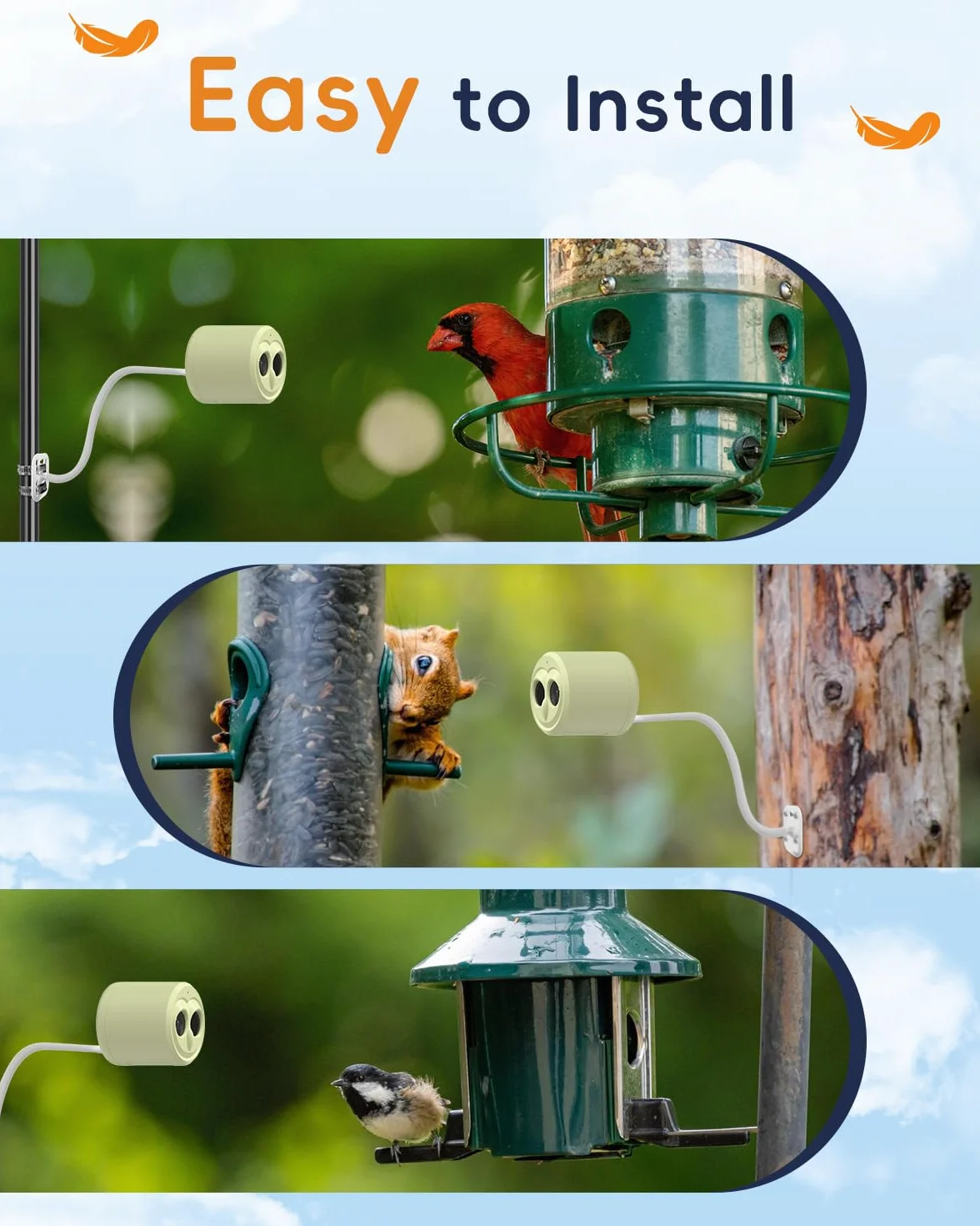 Hibird Caméra d'observation des oiseaux 5G IP66 avec identification IA et panneau solaire