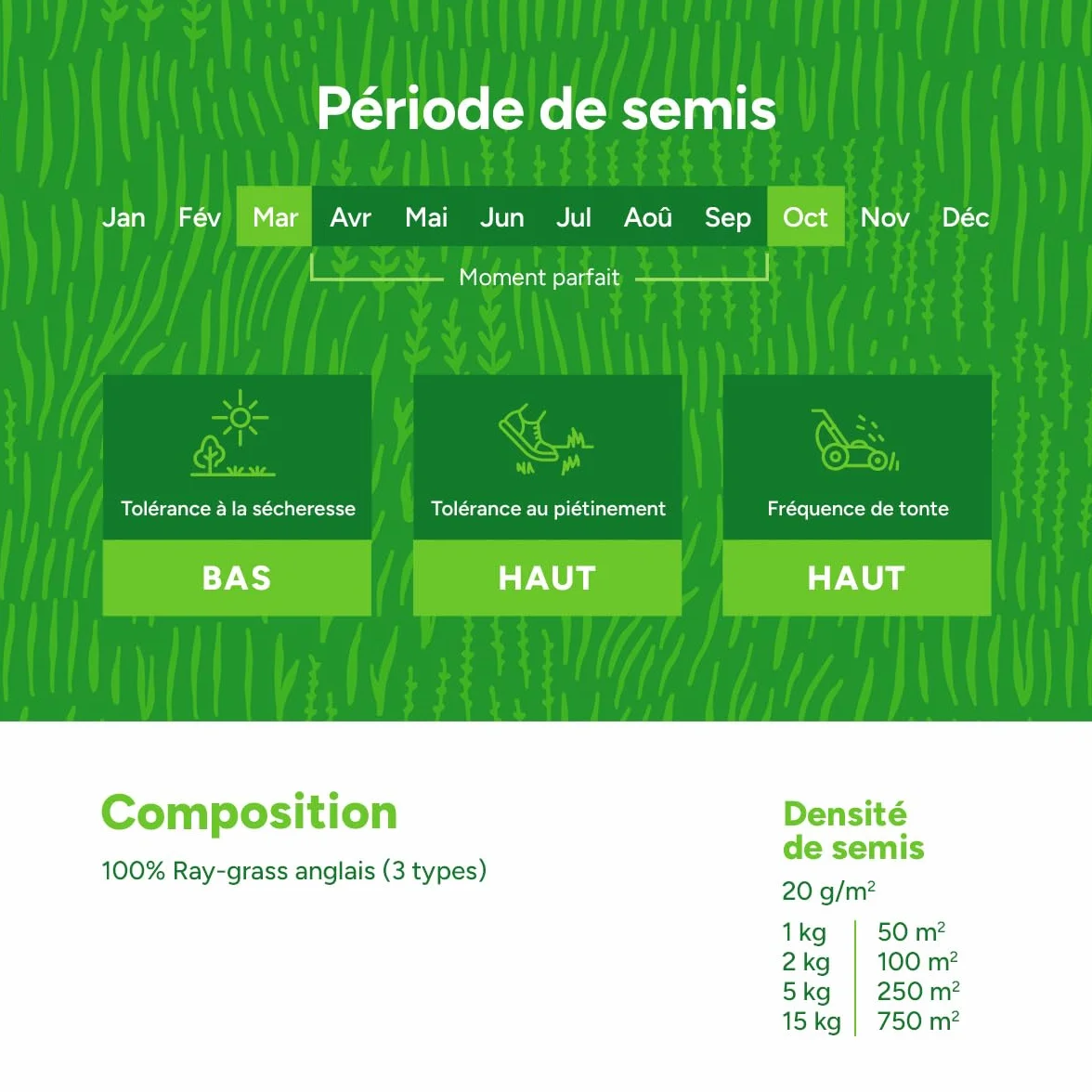 Semence Gazon Regarnissage MRS Turbo Green 5 kg 250 m² Germination rapide Gazon dense Grande tolérance au piétinement