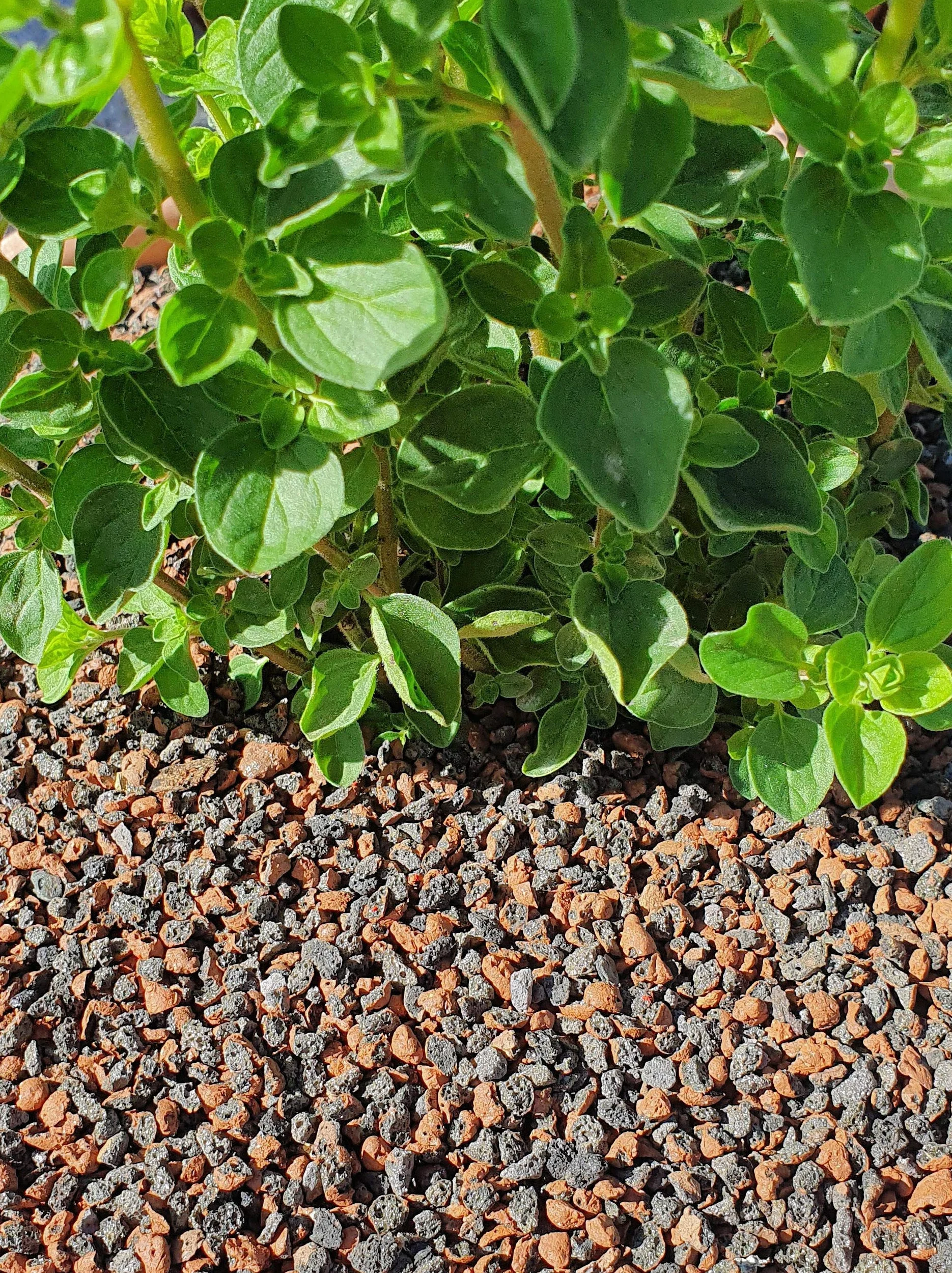 Argile Expansée - Gravier d'argile Concassé 1-5mm Jardin & Plantes - Cailloux Couche de Couverture Terreau Exterieur - Billes Anti-Eau Stagnante - 10 L