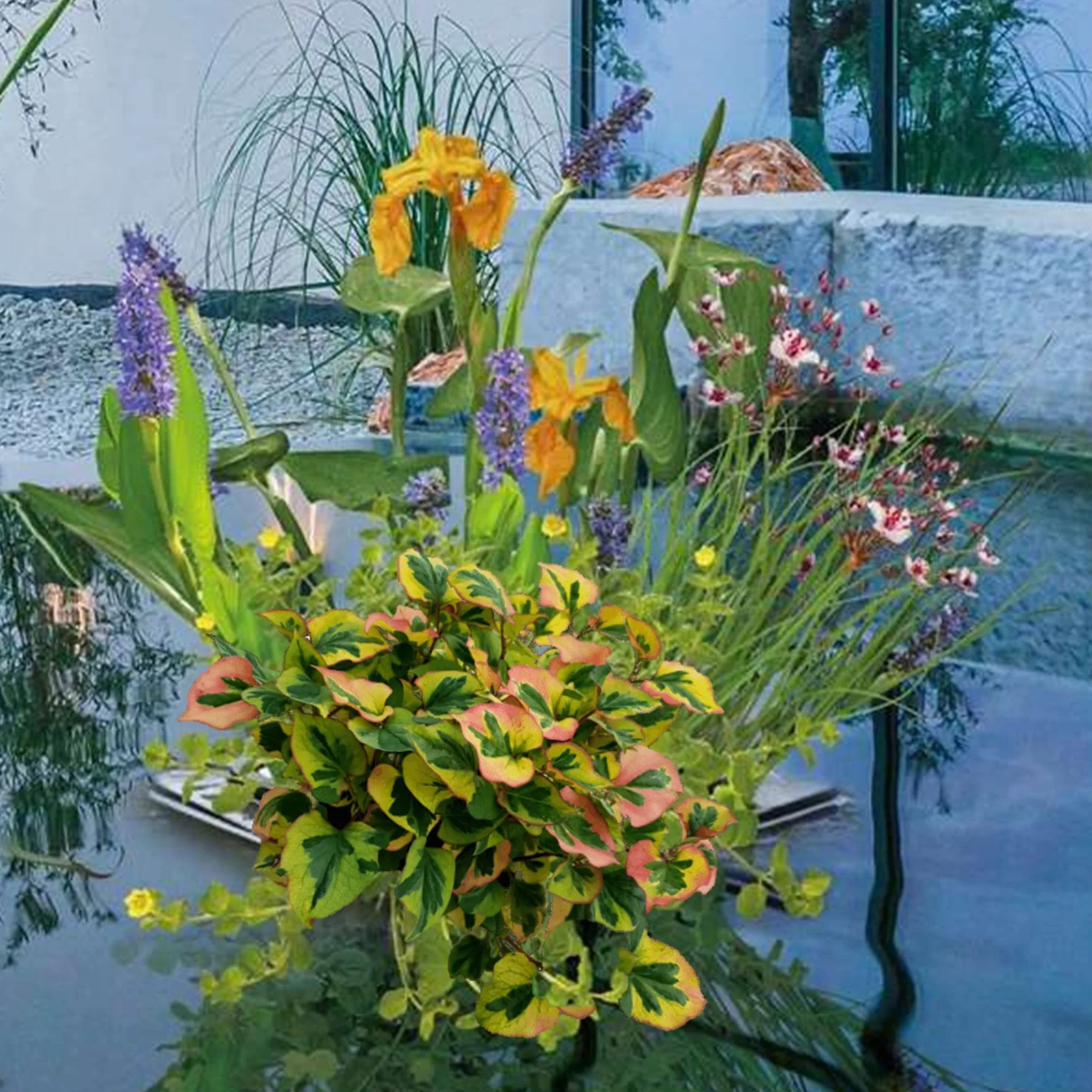 Vdvelde Île Flottante pour Bassin Set Plantes Aquatiques Kit complet avec Panier Substrat Engrais