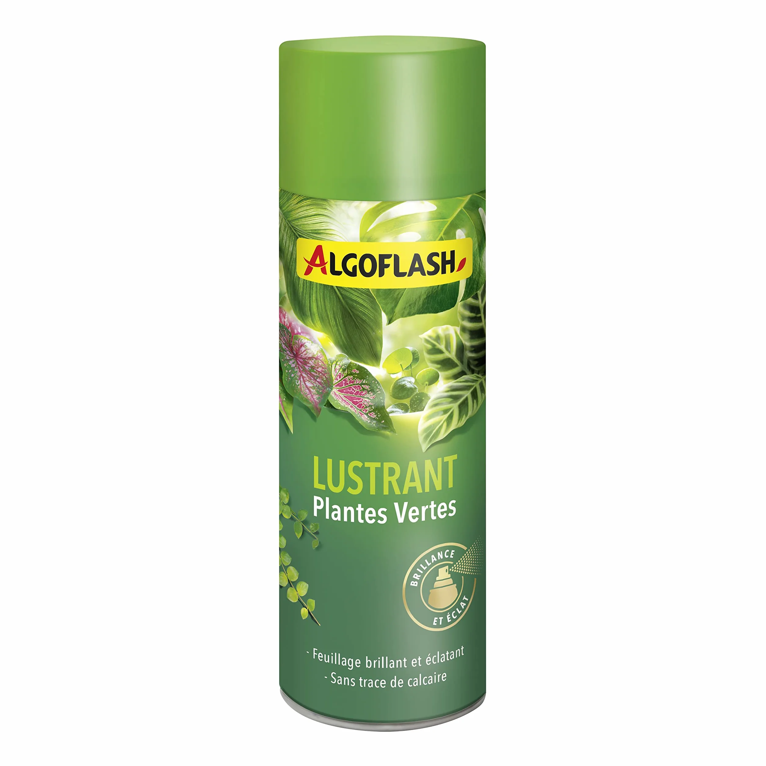 ALGOFLASH Lustrant Plantes Vertes, Brillance et Éclat, Prêt à l'Emploi, 250 mL, ALUSTR250R