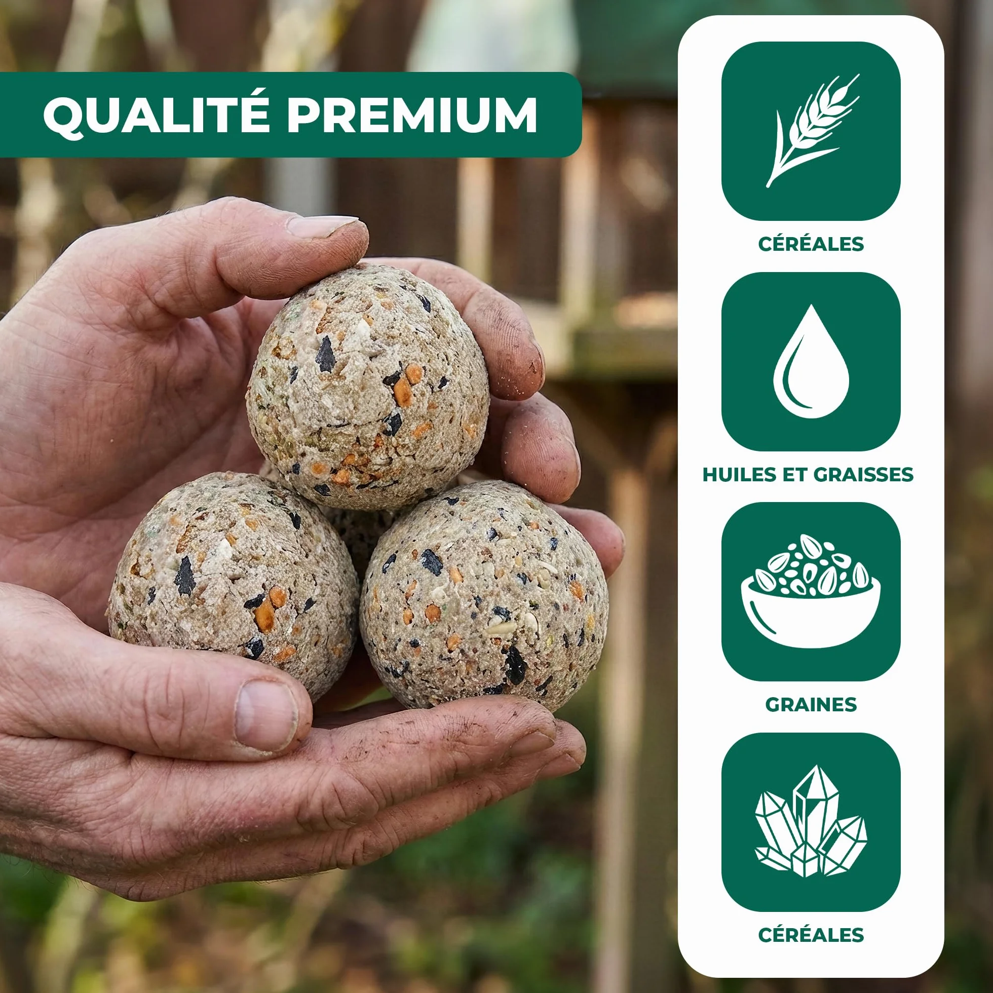 Boules de Graisse GardenersDream Friandises énergétiques pour Oiseaux Sauvages 300 pièces