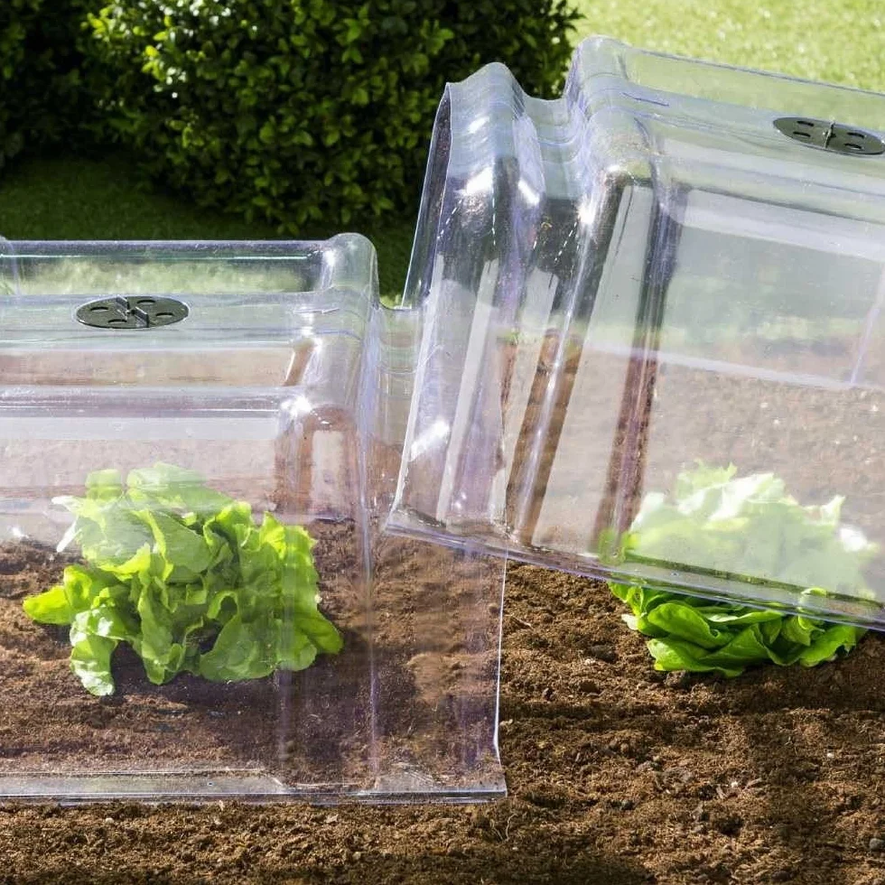 TERRE JARDIN - Tunnel de Forçage, 86 x 38 x 21 cm - Tunnel de Forçage Rigide, Transparent, Modulable, avec 6 Sardines de Fixation - Mini Serre Rigide Potager de Jardin avec Système de Ventilation