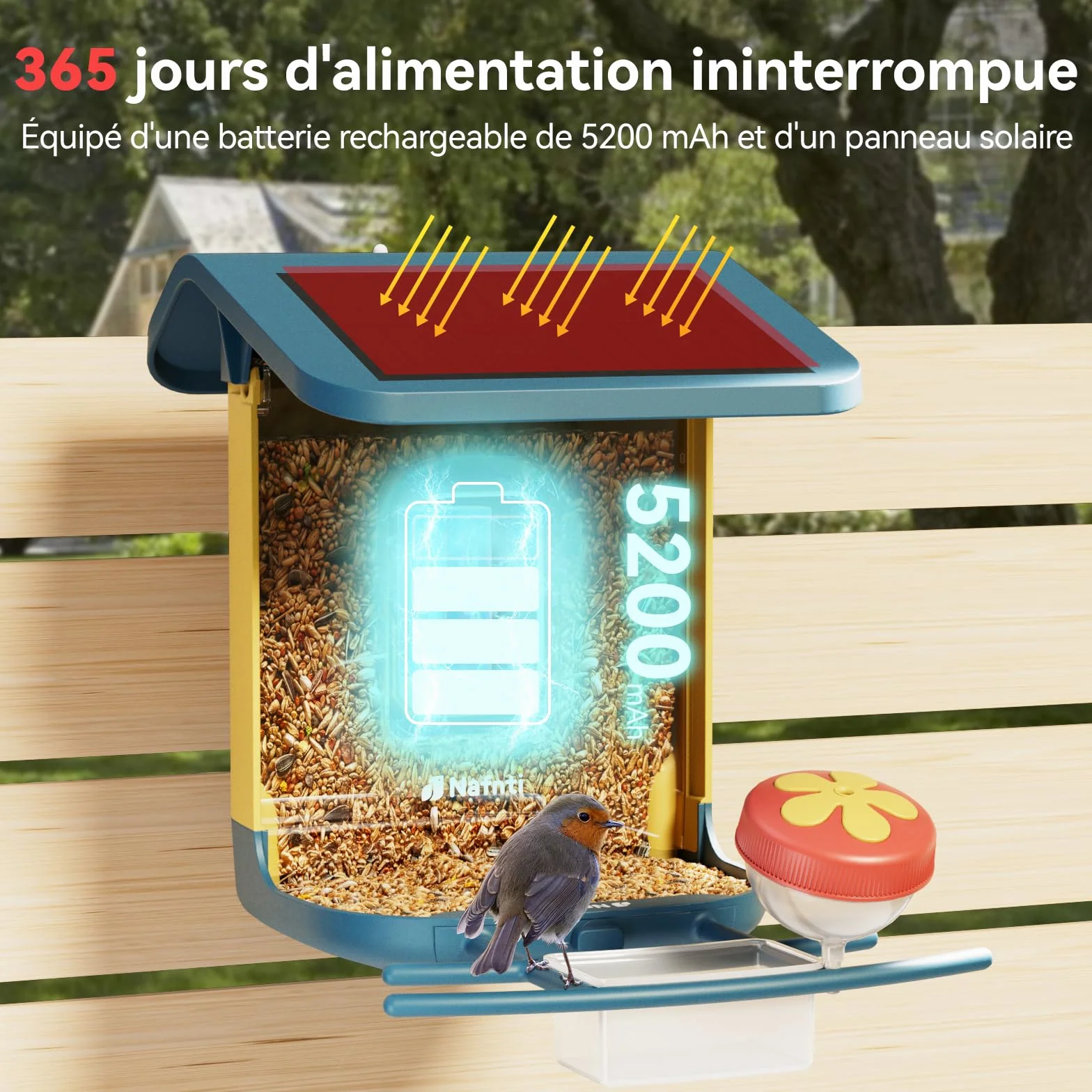 Mangeoire à Oiseaux Caméra 2K Solaire WiFi 2,4/5 GHz Vision Nocturne Couleur Identification IA 10 000 Espèces IP65