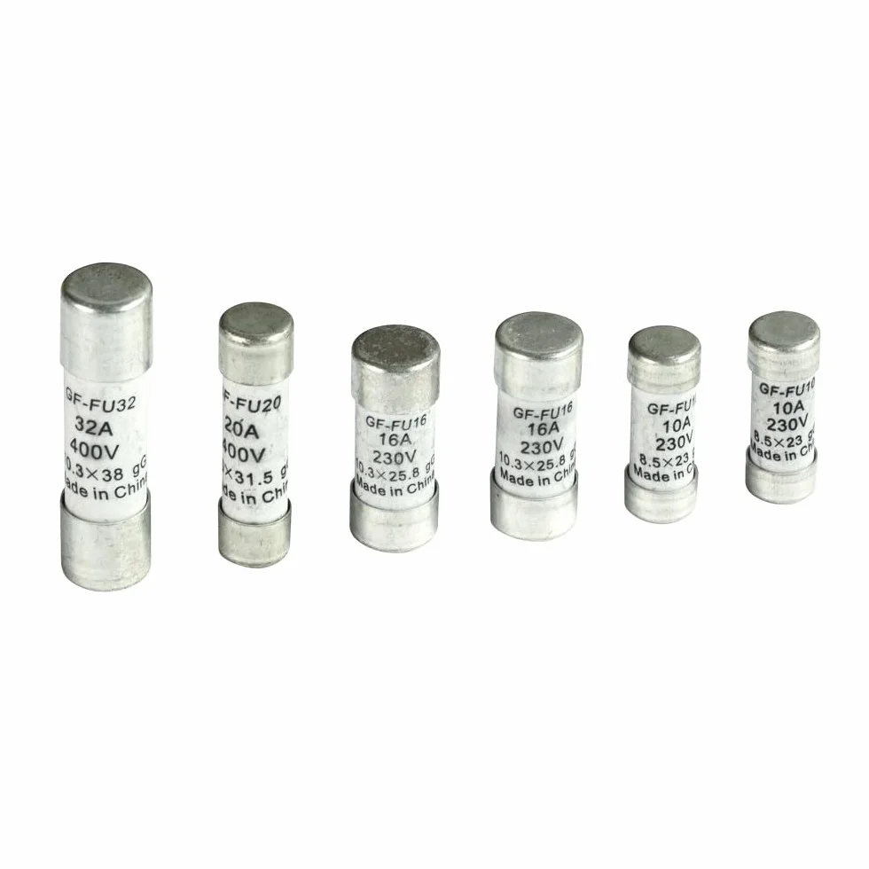 GEFOM Lot de 6 Fusibles domestiques 10/16/20/32 A