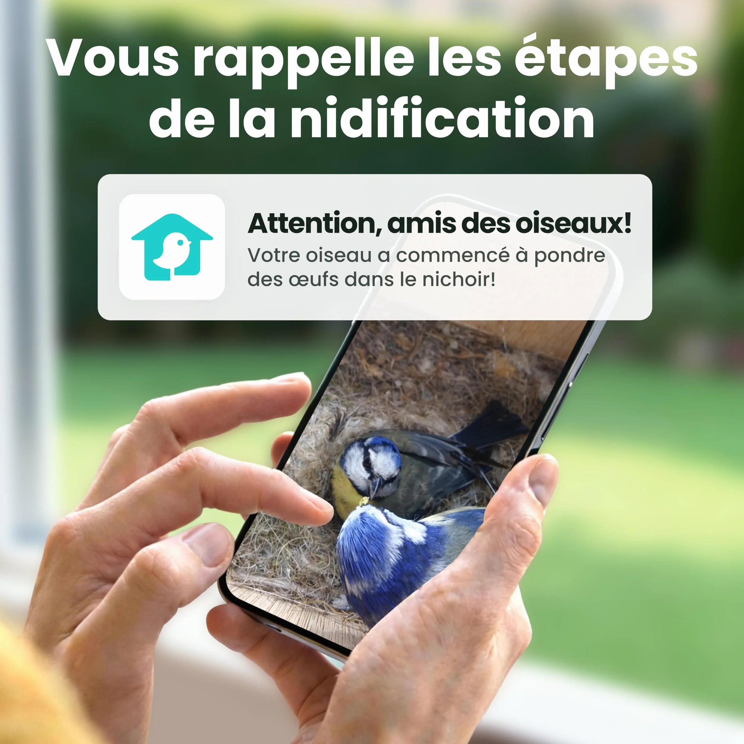 Birdfy Nichoir Oiseaux Exterieur, Camera Nichoir avec Panneau Solaire, 1080P HD Vidéo en Direct & Vision Nocturne pour Nidification 24/7, Détection Auto, Notification & Identification IA