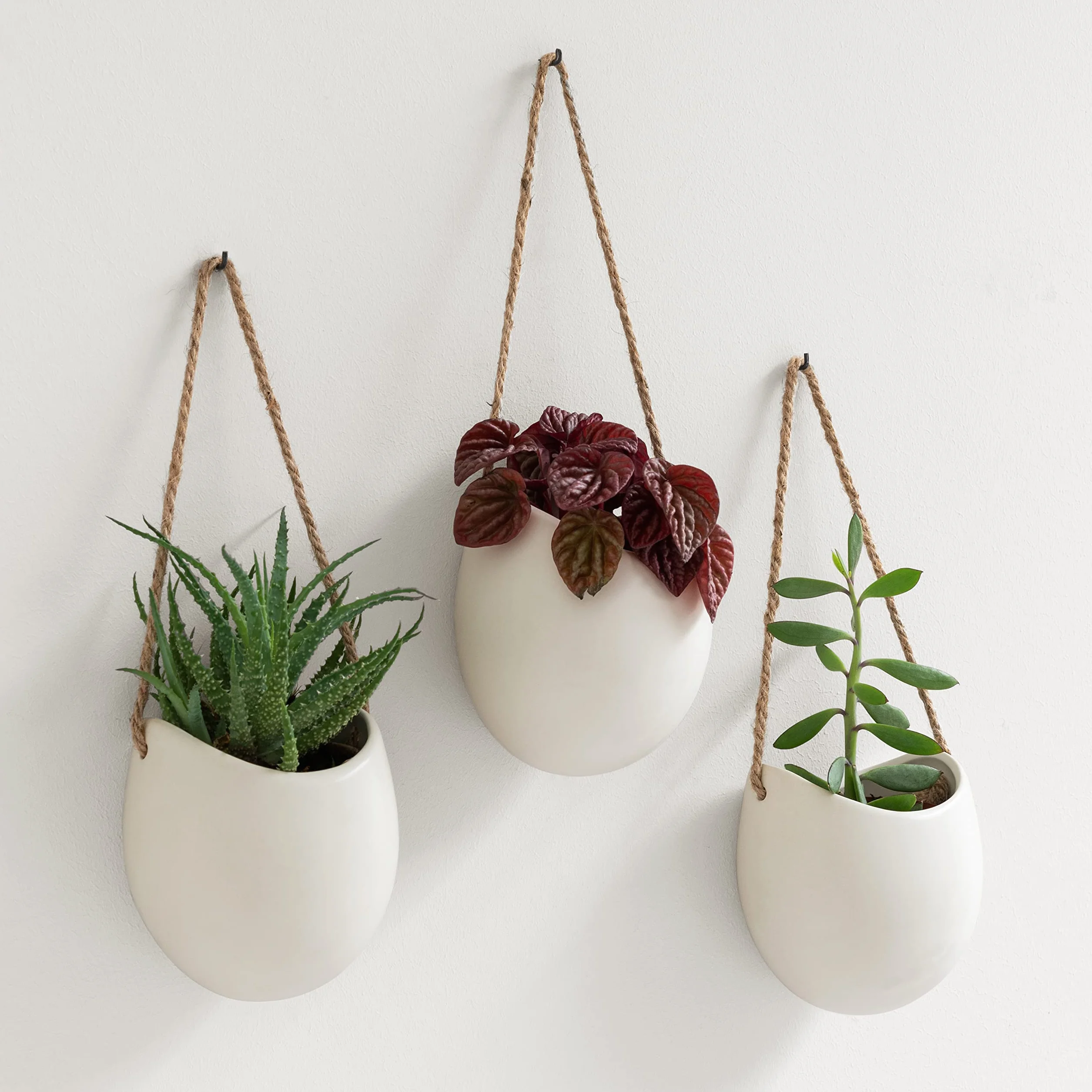 Kazai Pots de Fleurs Muraux Ellie 3 pièces Céramique Suspendus Décoration Murale Crème Mat