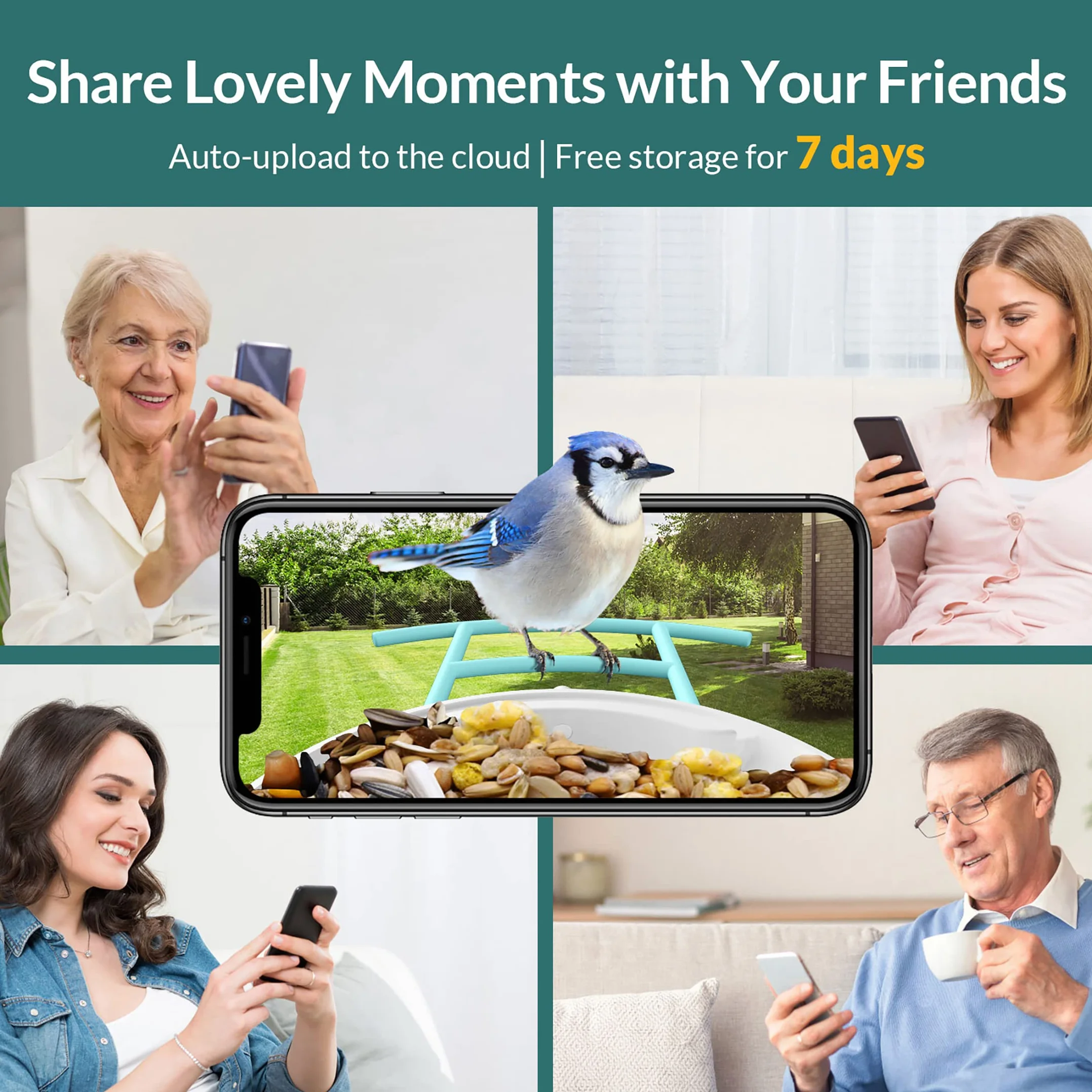 NETVUE Mangeoire Oiseaux avec Camera IA, Observation et Identification des Oiseaux Via APP, Caméra Jardins WiFi à Batterie & Panneau Solaire