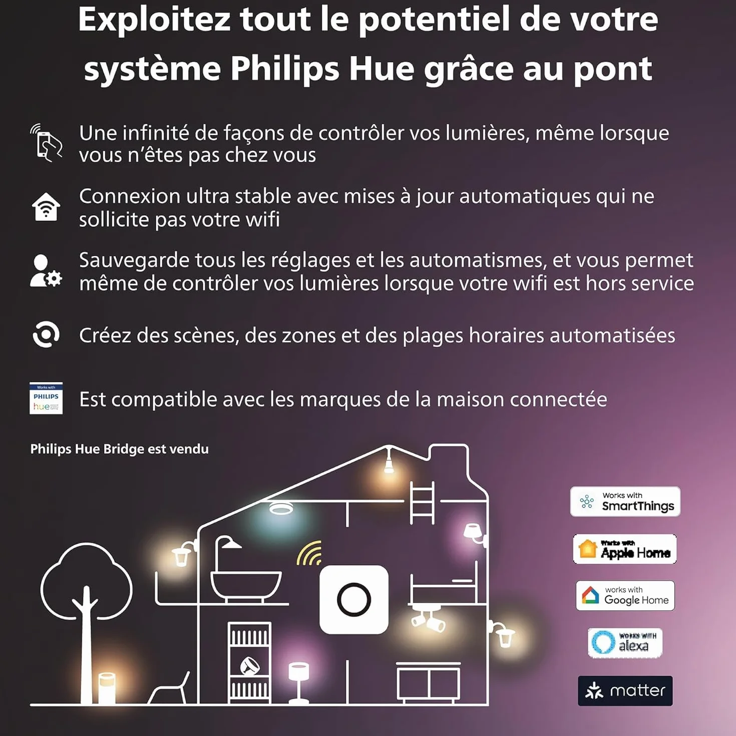 Philips Hue Smart Plug prise intelligente pour éclairage compatible commande vocale application blanc