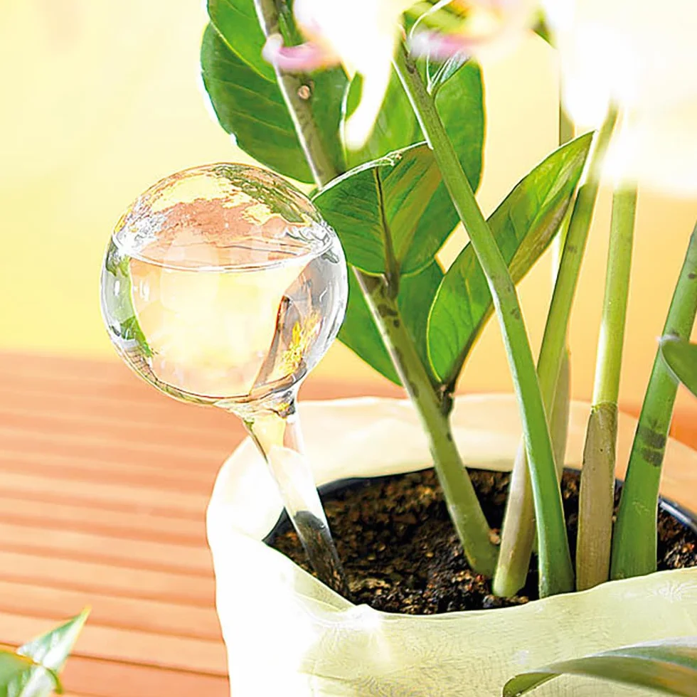Lot de 4 Globe d'arrosage Automatique Boules d'Irrigation pour Plante Transparent Distributeur Eau Plantes pour l'Intérieur l'Extérieur