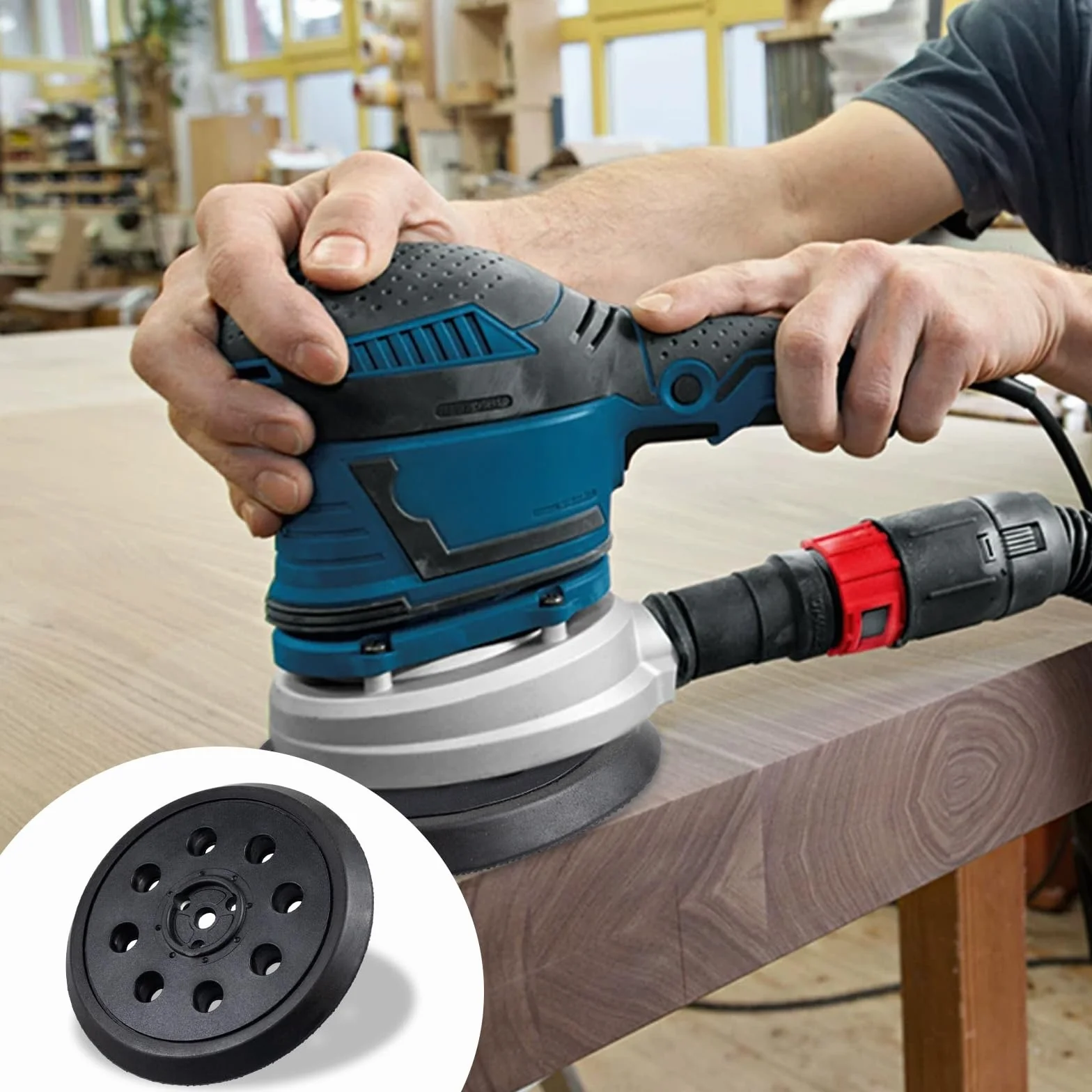 BOSCH Plateau de ponçage 125 mm 8 trous compatible PEX 12 PEX 125 AE auto-agrippant résistant chaleur 80 °C