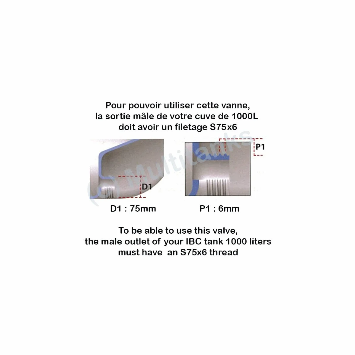 Vanne papillon 2 pouces Multitanks pour cuve IBC 1000 litres