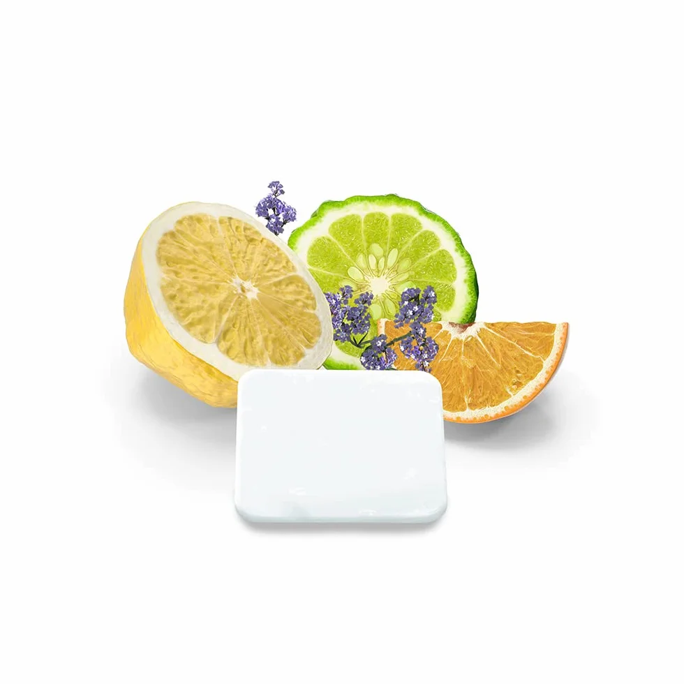 HOME DELUXE Plaques parfumées LIMA pour ioniseur Eau de Cologne sauna accessoires