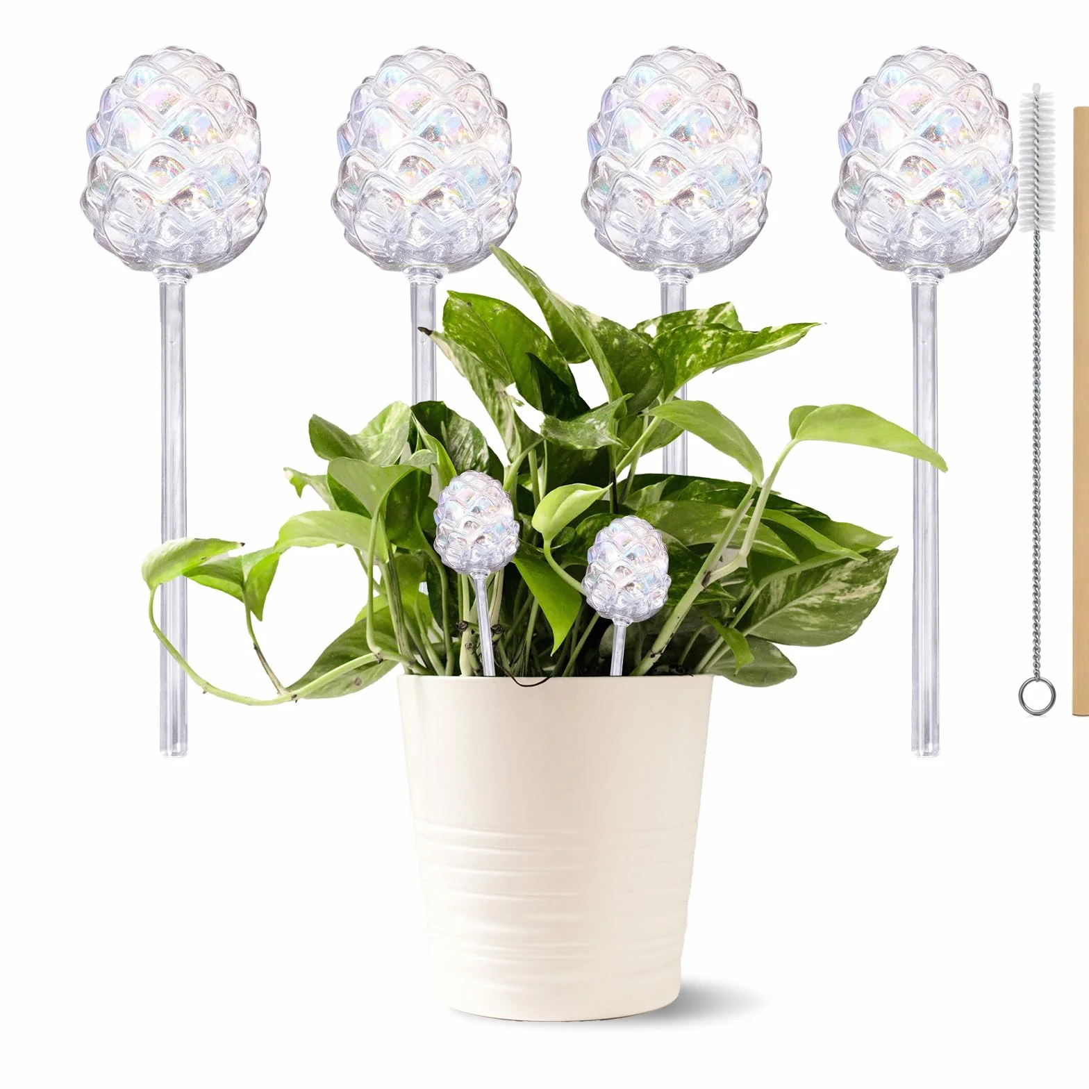 RoseFlower Globes d'arrosage en Verre, Plantes interieu dégradé Arc-en-Ciel à arrosage, système d'arrosage Automatique pour Plantes d'intérieur et d'extérieur, arrosage Plante Interieur