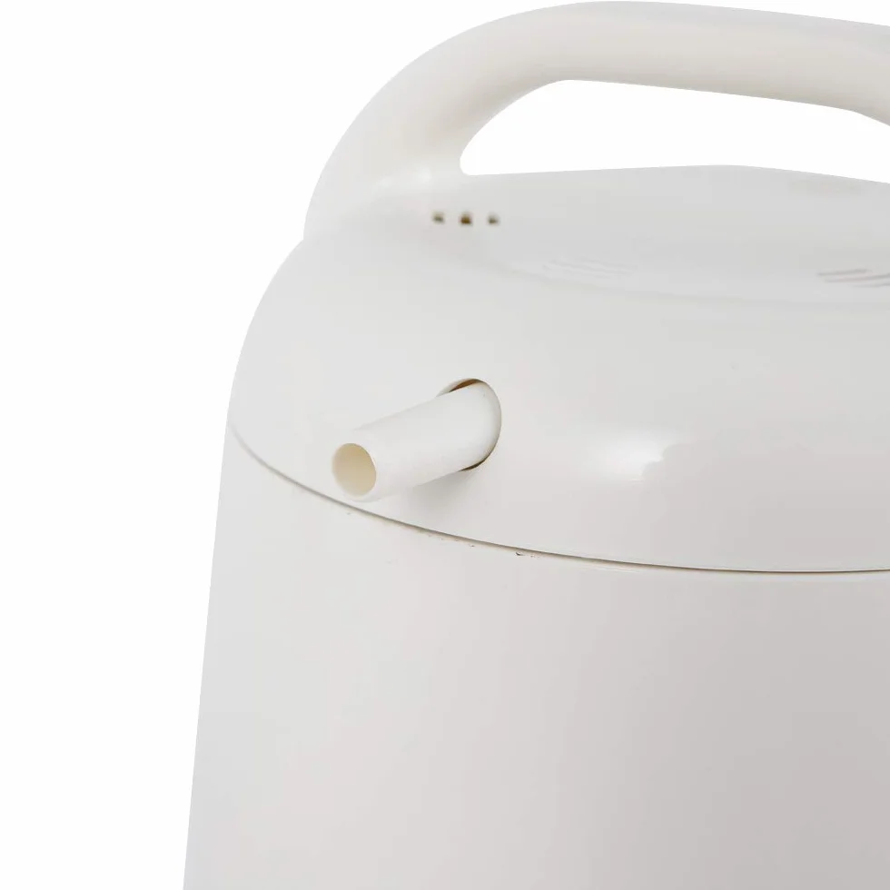 Générateur de vapeur 900 W 1,5 l Portable avec minuterie