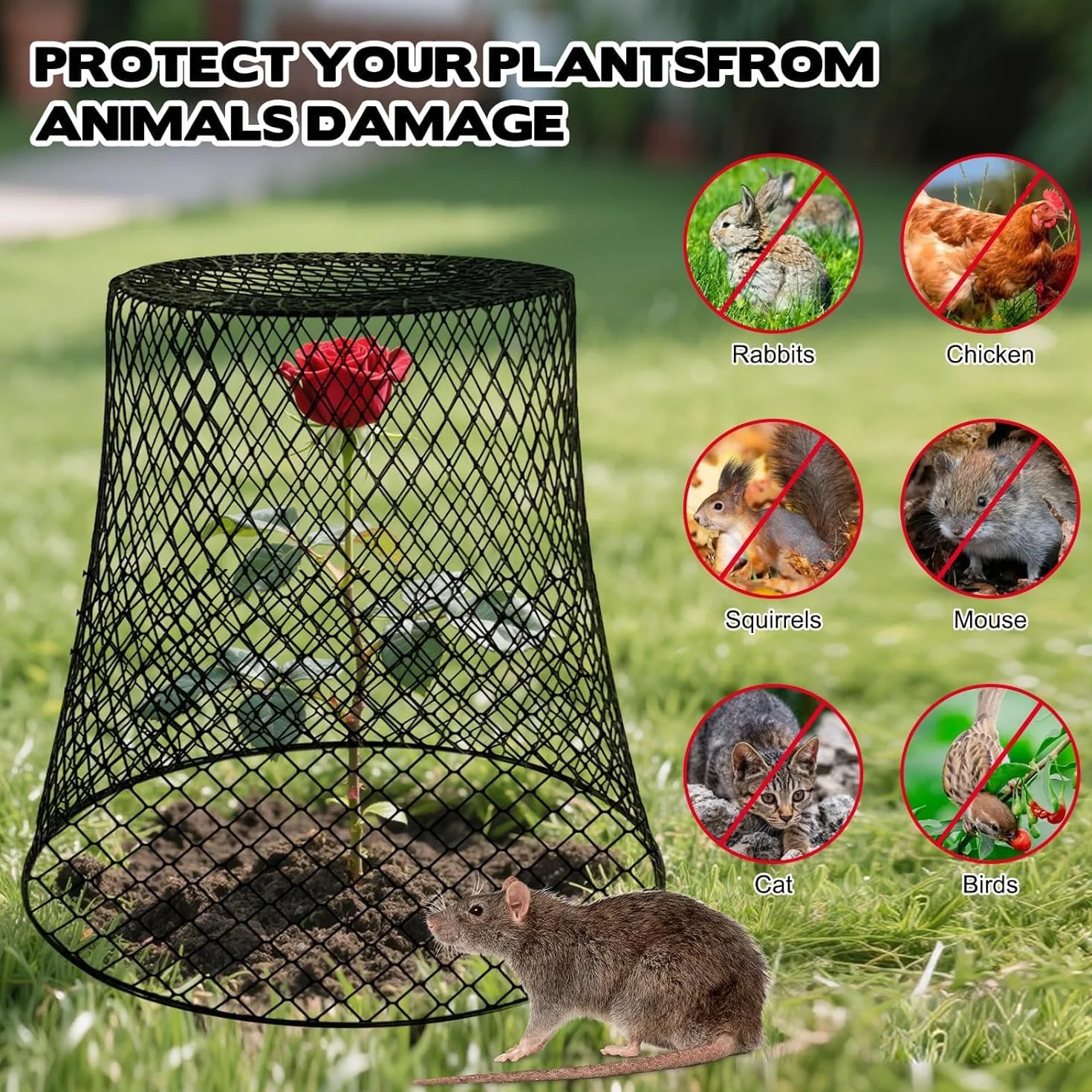 KAHEIGN 12 Pièces Cloches Grillagées pour Plantes 23CM x 23CM Cage de Protection Métallique de Jardin