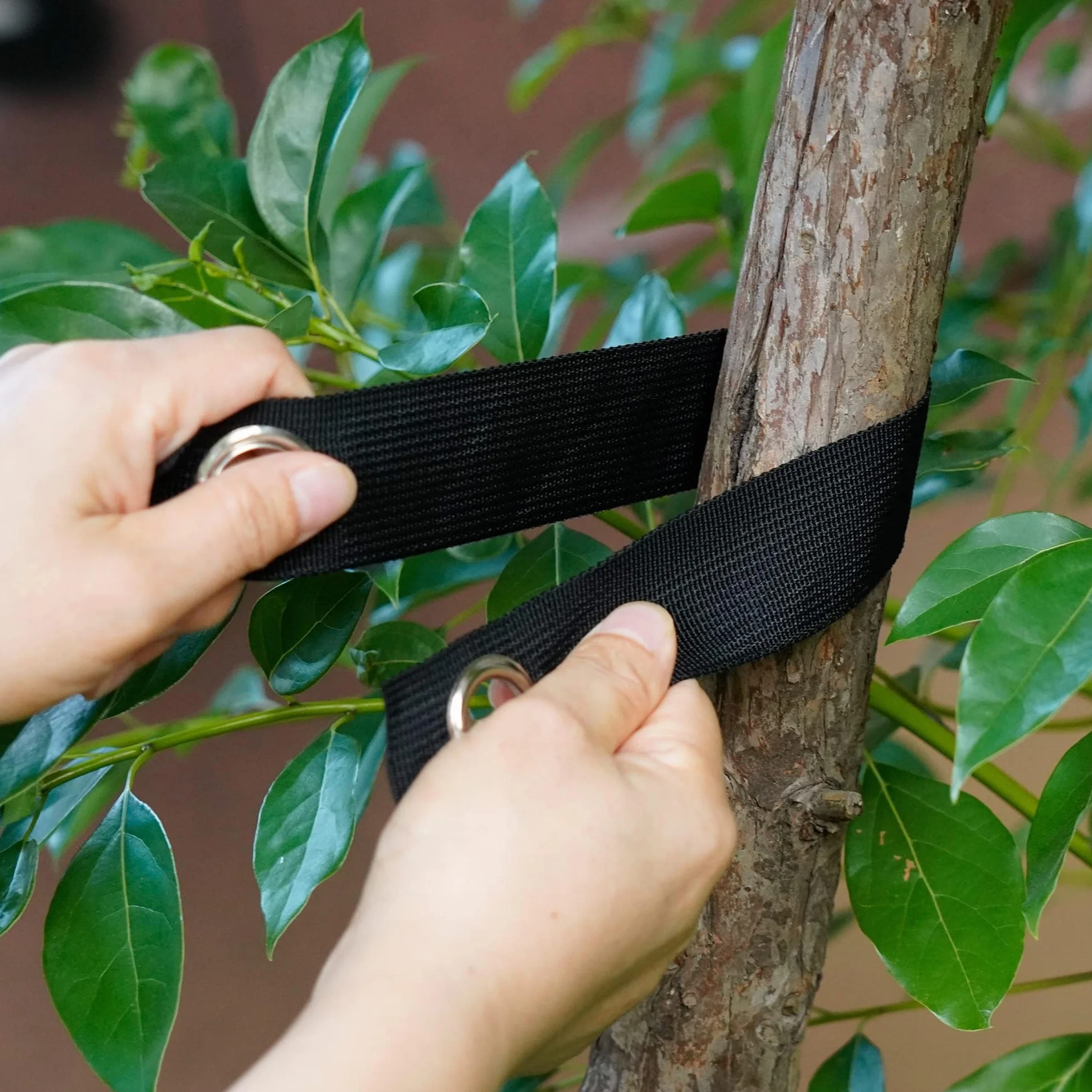 Sangles de Soutien pour Arbre avec œillets, 6 Pièces Sangles d'arbre, Attaches pour Arbres, Sangle Arbre Tuteur pour Jeunes Arbres Nouvellement Plantés et Protection Contre Les Ouragans