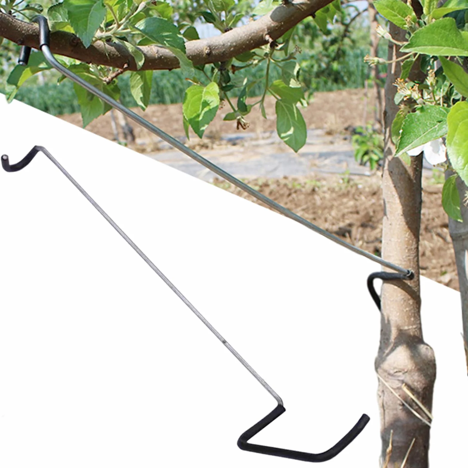 Lot de 10 écarteurs de branches d'arbre fruitier, extracteur de branches de 35,6 cm, nouvel épandeur de branches de fruits en plastique enveloppé de fil de fer qui n'endommage pas les branches