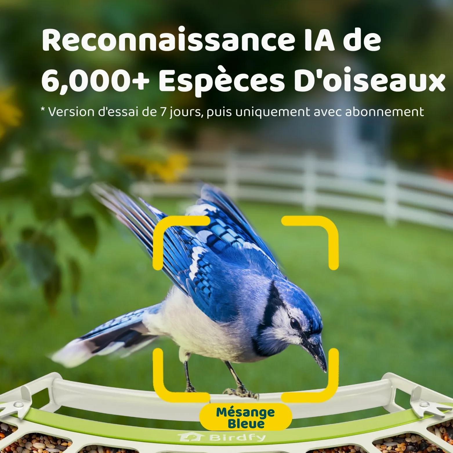 Birdfy Métal Mangeoire Oiseaux Camera pour L’Observation direct, 1080P Solaire Mangeoire Oiseaux Exterieur sans Fil, Vision Nocturne en Couleur, Notification Instantanée, Enregistrement à Chaque Visit