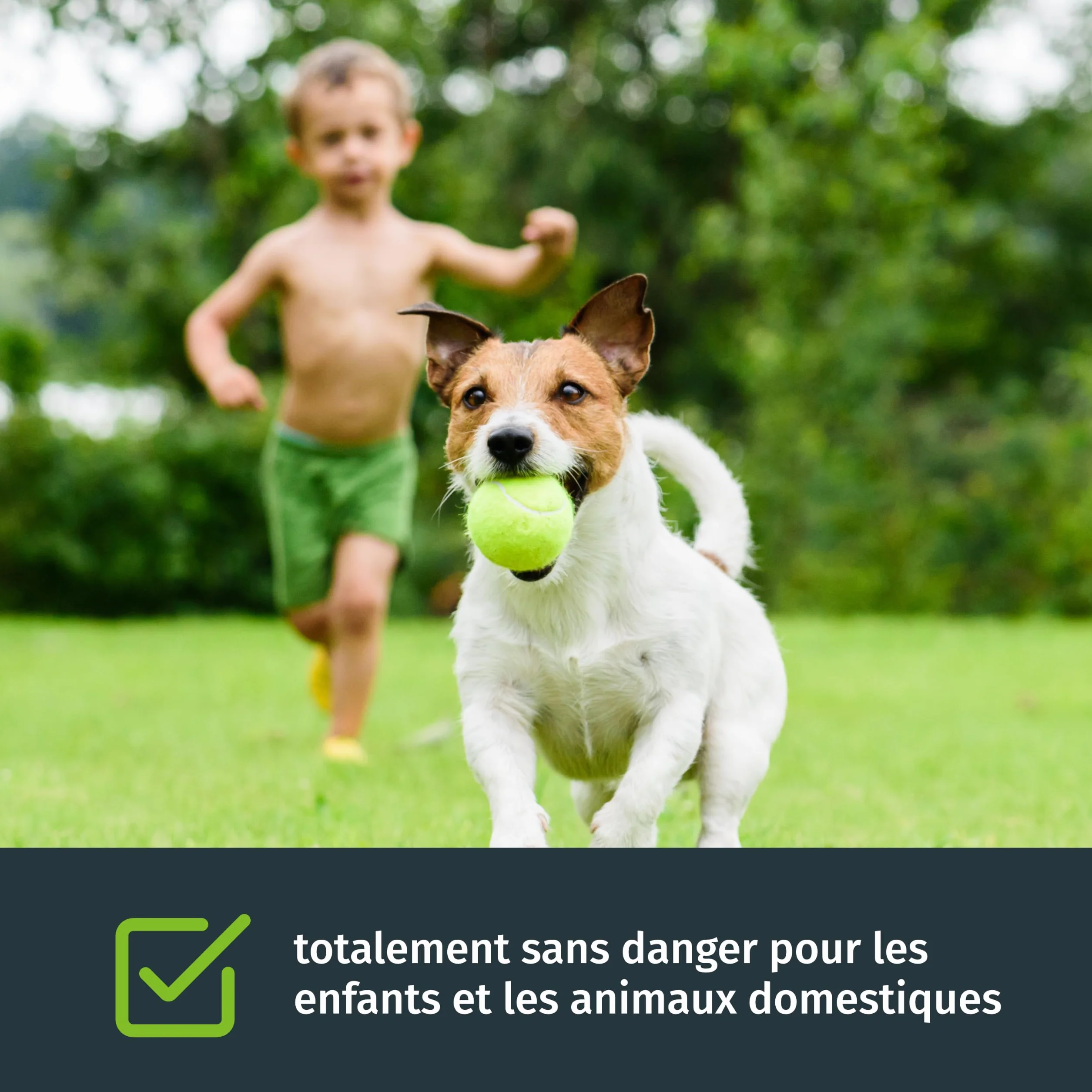 Turbogrün engrais gazon printemps 10 kg 500m² fertilisant pelouse saine réduit mousse été adapté épandeurs