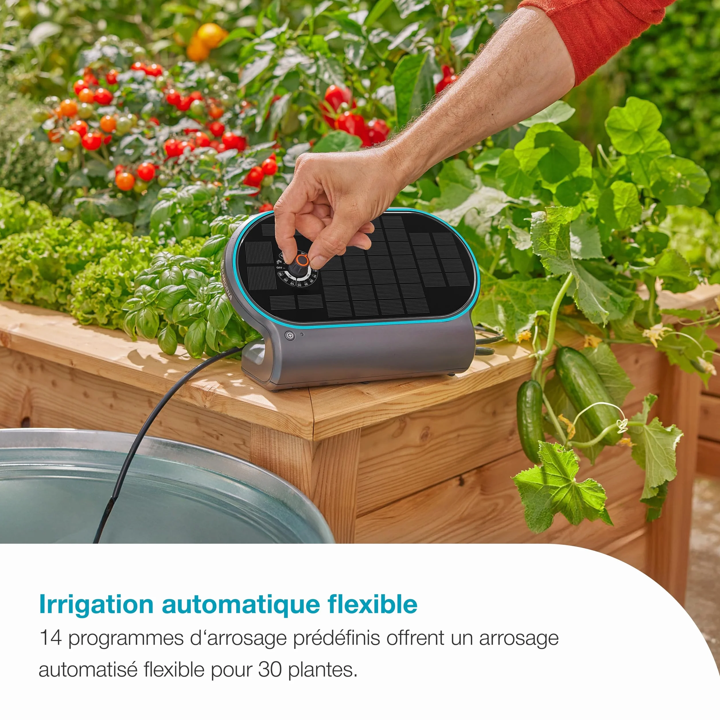 Gardena AquaBloom L Set Système d'Arrosage Autonome pour 30 Plantes