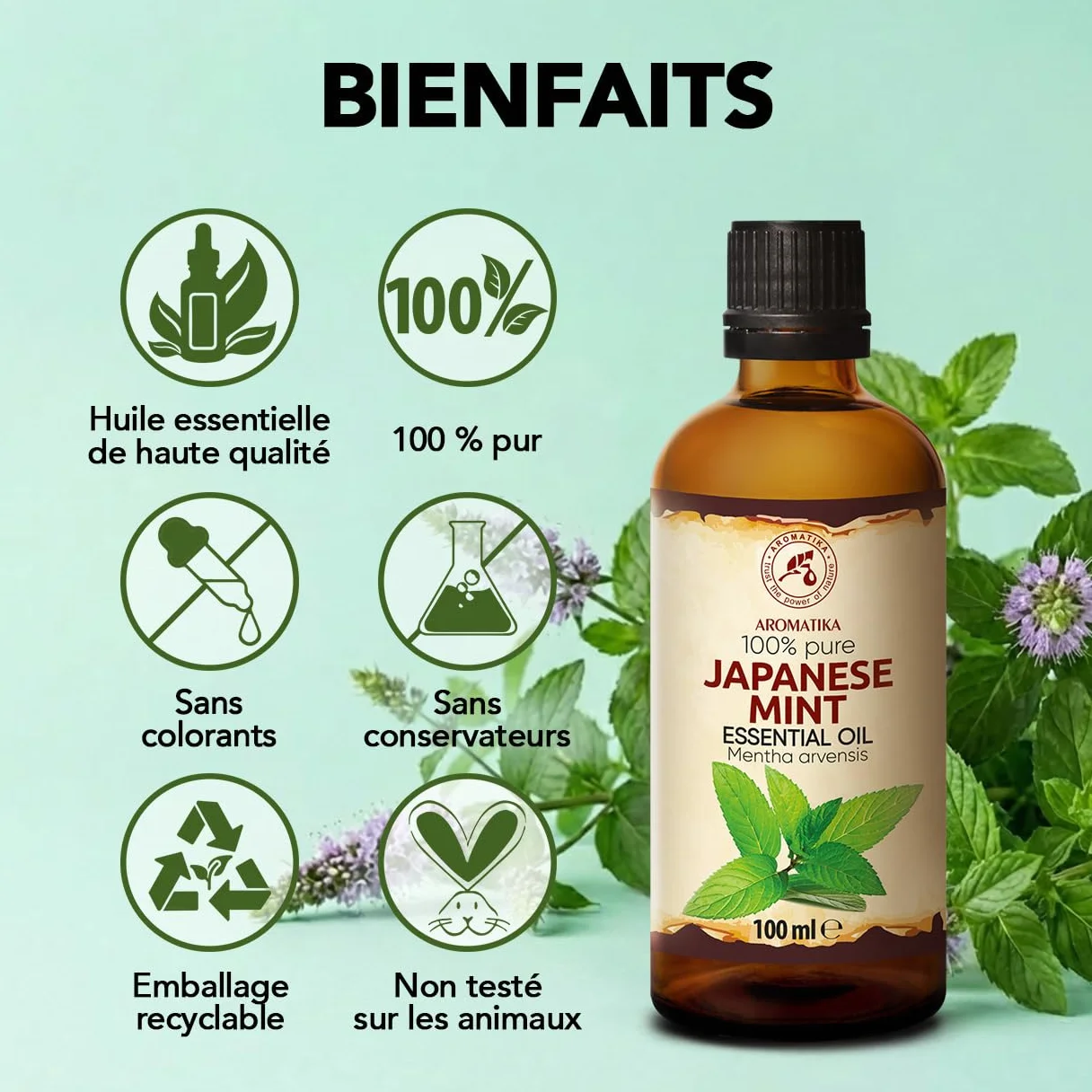 Huile Essentielle de Menthe Japonaise 2x100 ml Mentha Arvensis pour Diffuseur Aromathérapie