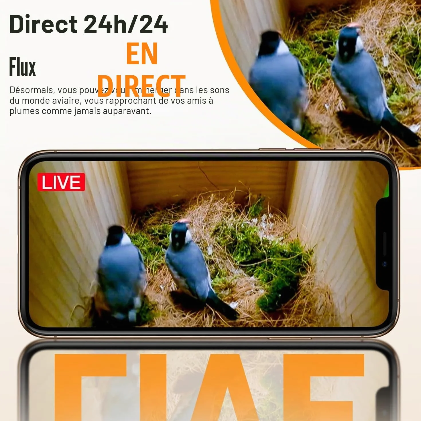 Nichoir à Oiseaux avec Caméra HD 4MP, Nichoir pour Jardin, Résistant aux Intempéries, WiFi 2,4G et Notification d'application, Surveillance de Nidification et d'éclosion, Enregistrement Automatique