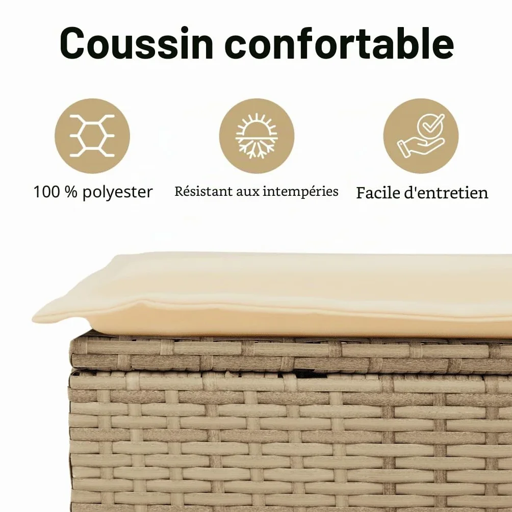 vidaXL Canapé de Jardin avec Coussins 2 Places, Siège avec Housse, Meuble de Terrasse Patio Balcon Extérieur, Beige Résine Tressée