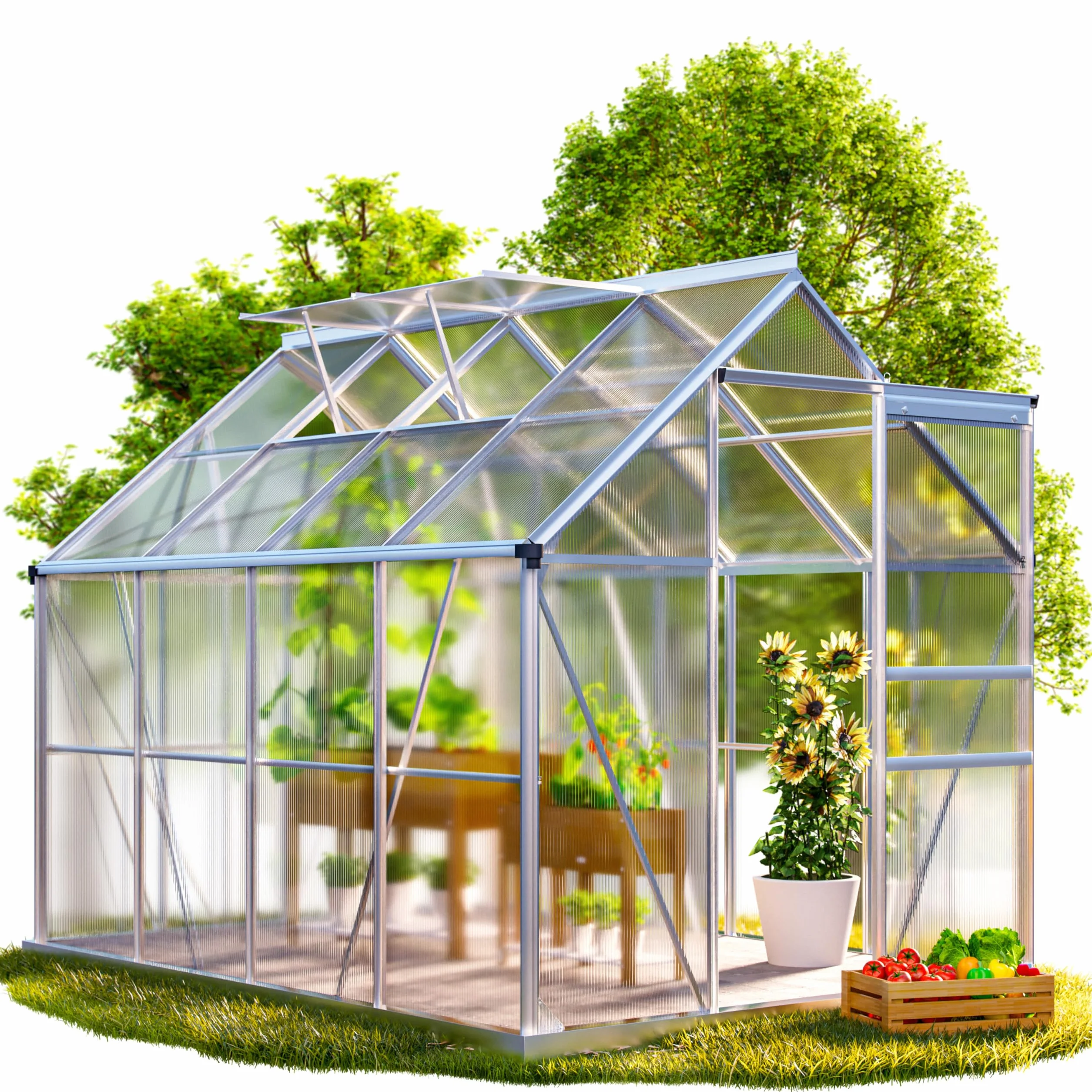 Serre de Jardin Aluminium Polycarbonate 4,8m² 250x190cm 2 Lucarnes Structure Stable