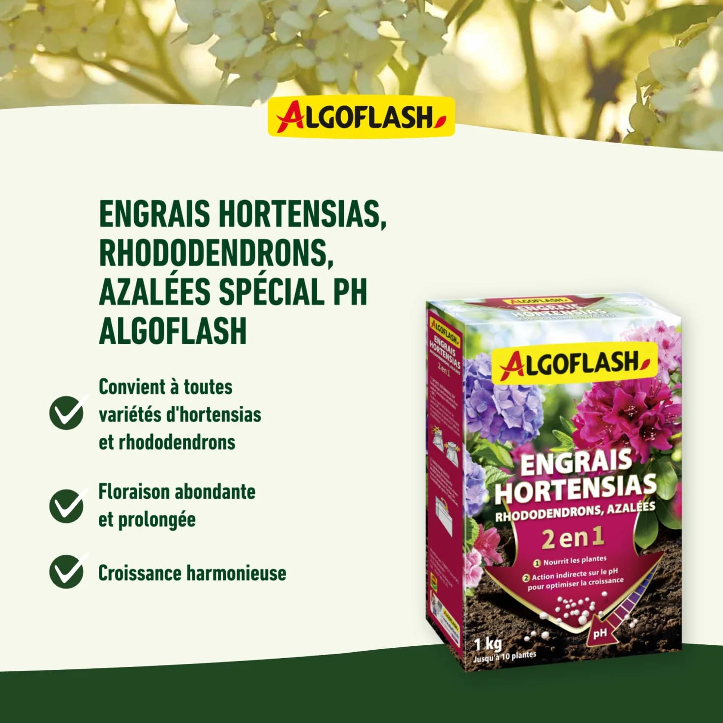 ALGOFLASH Engrais 2 en 1 pour Hortensias, Rhododendrons, Azalées Spécial pH, jusqu'à 10 Plantes, 1 kg, HORTOPH1N