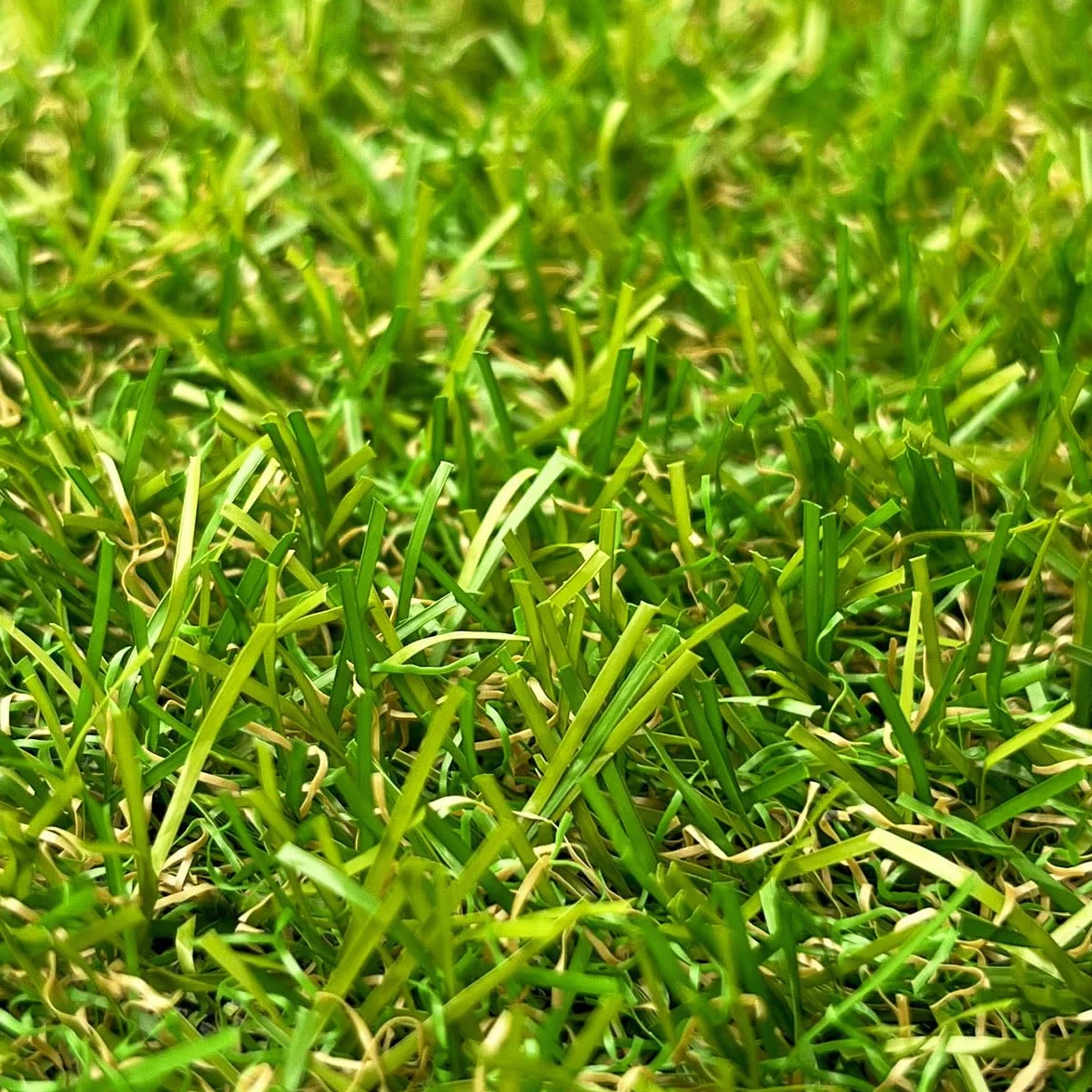 Gazon synthétique 20 mm rouleau 2x3 m 6 m² Pelouse artificielle fibres bicolores effet naturel MGS