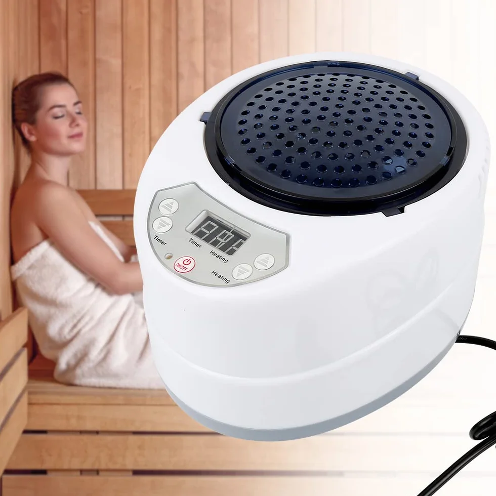 Générateur de vapeur mobile 2 l 1000 W chaudière sauna