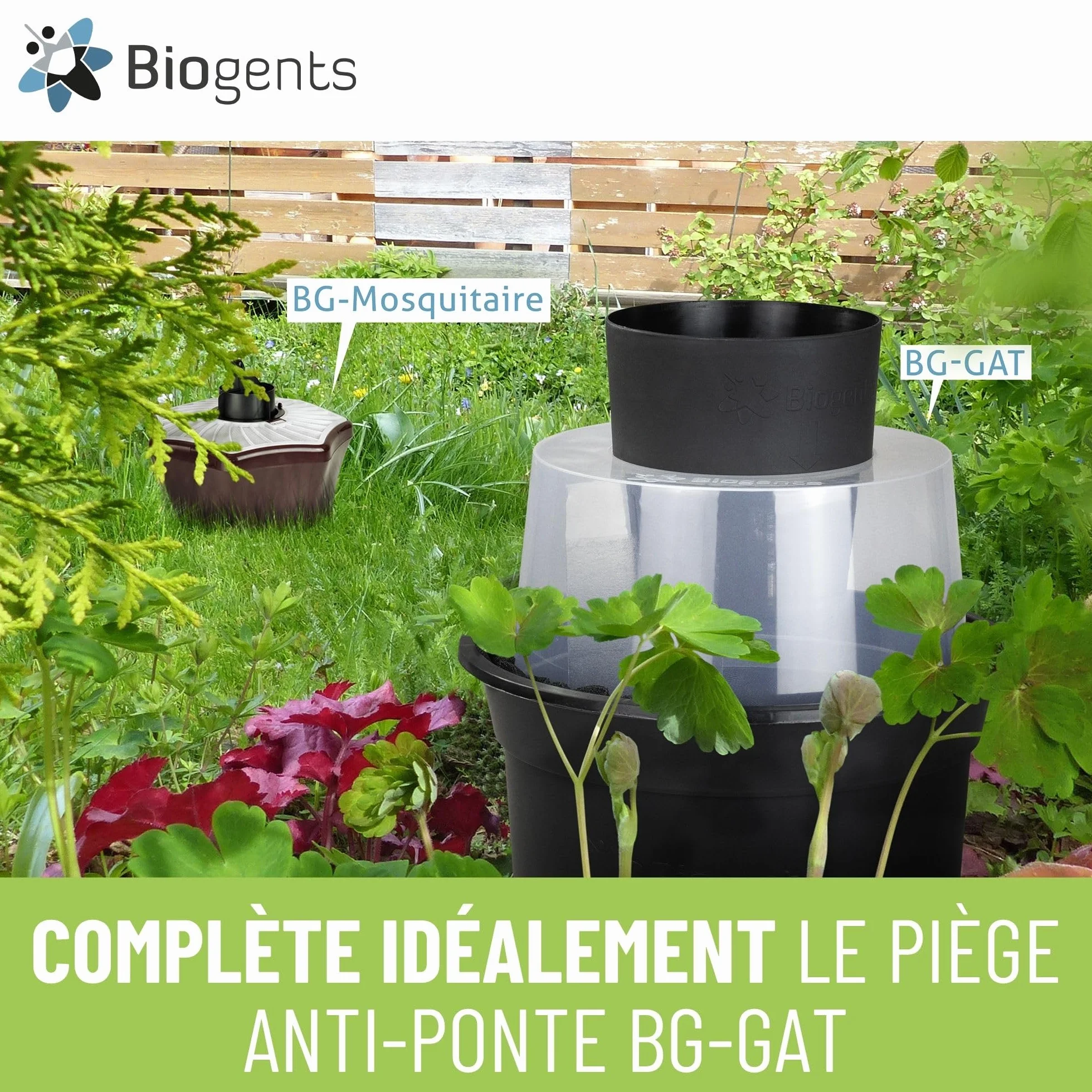 BIOGENTS Piège Extérieur Anti-Moustiques Tigres Recharge 6 Mois Season Pack