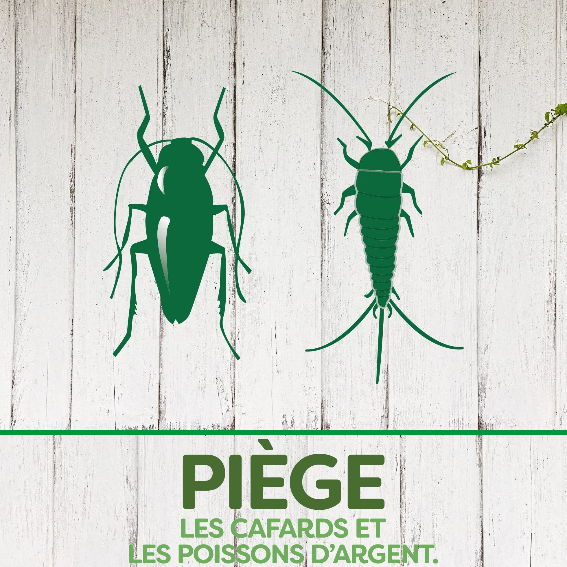 PYREL PIÈGE CAFARDS ET POISSONS D'ARGENT SANS INSECTICIDES 5 Pièges