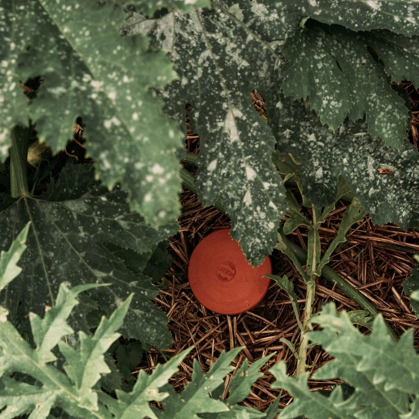 Duo Ollas Tube 2L en Terre Cuite – Fabrication Française – Arrosage Autonome Écologique pour Potager, Jardin et Plantes – Irrigation Naturelle Jusqu’à 5 Jours