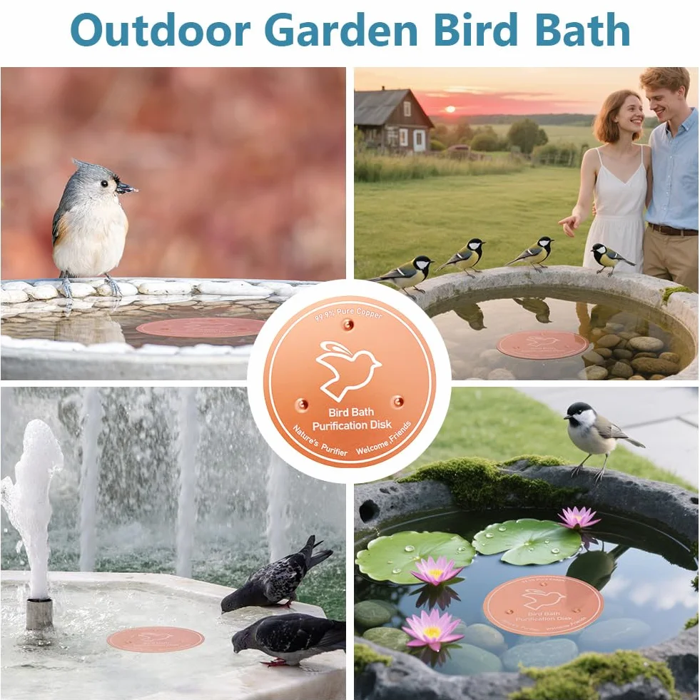 Disque de Purification pour Bain d'oiseaux en Cuivre 99,99% avec Support, pour Extérieur Jardin