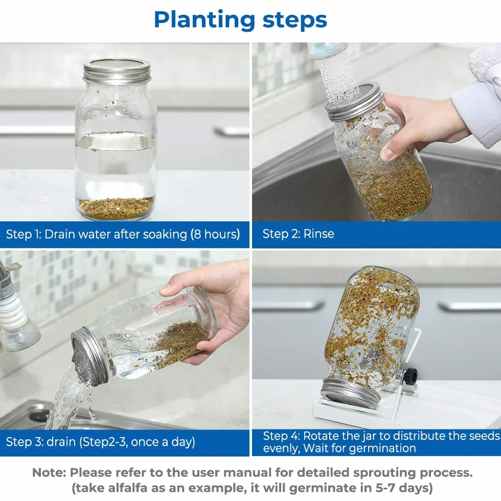 ecooe Lot de 2 pots à germer pour germination en verre à germination avec 1 bac à eau, 2 couvercles de grille filtrante en acier inoxydable 304 et 2 supports
