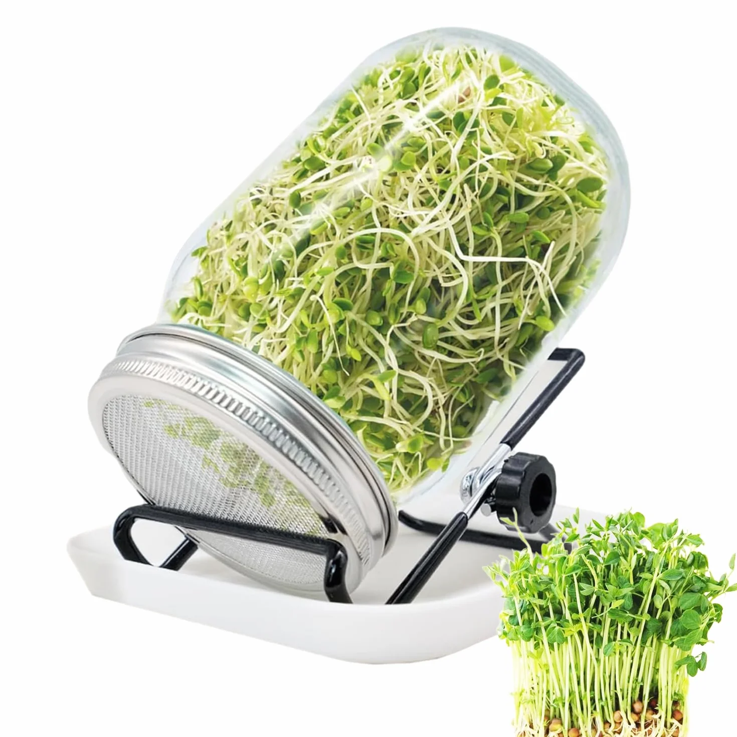 Lot de bocaux à germer 1000 ml pour germination en verre à germination avec 1 bol à eau, 1 couvercle en acier inoxydable 304 et 1 support, pour alfalfa, brocoli, haricots mungo