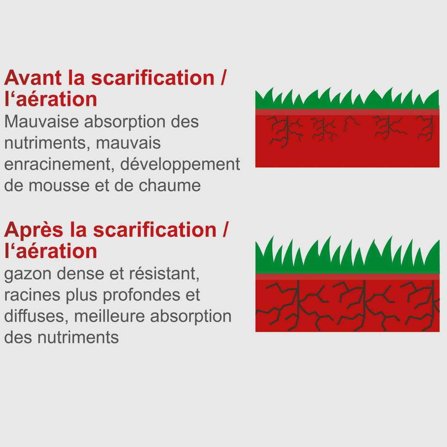 Scheppach Scarificateur Thermique SC55P – Scarificateur à Essence – Moteur à Essence 4 Temps 5,4 CV / 4 KW – Cylindrée 212 cm3 – Largeur de Travail 40 cm – 6 Vitesses – Hauteur réglable