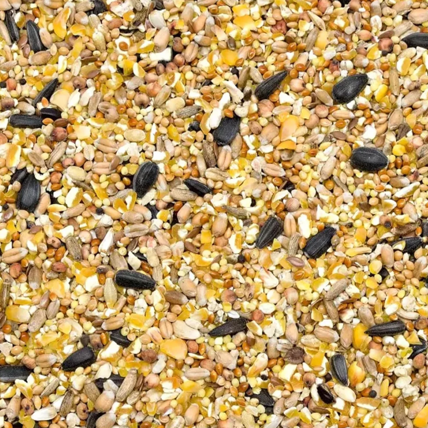 GiDeli Nourriture pour oiseaux sauvages d'hiver 20 kg seau graines de lin oméga