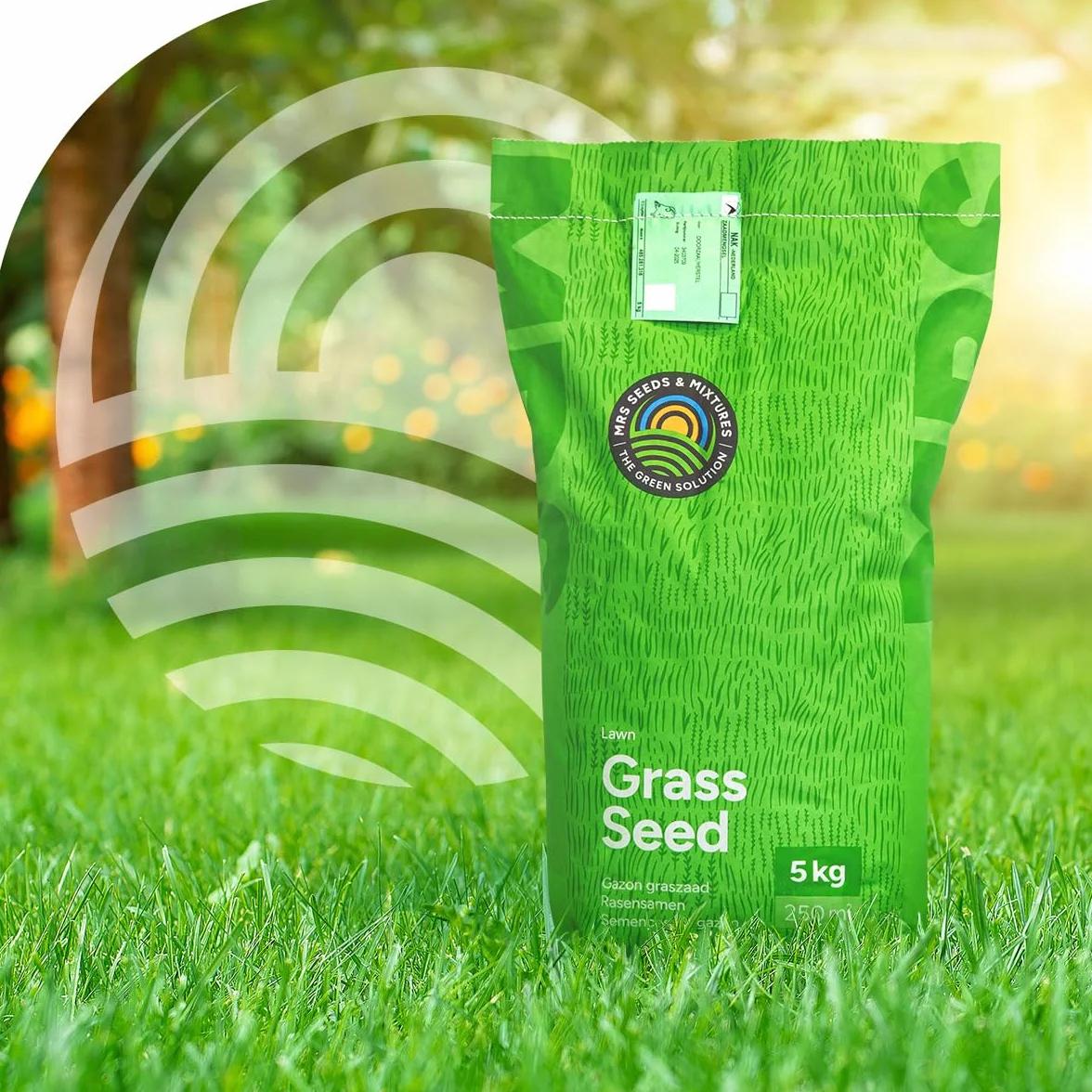 Semence Gazon Regarnissage MRS Turbo Green 5 kg 250 m² Germination rapide Gazon dense Grande tolérance au piétinement
