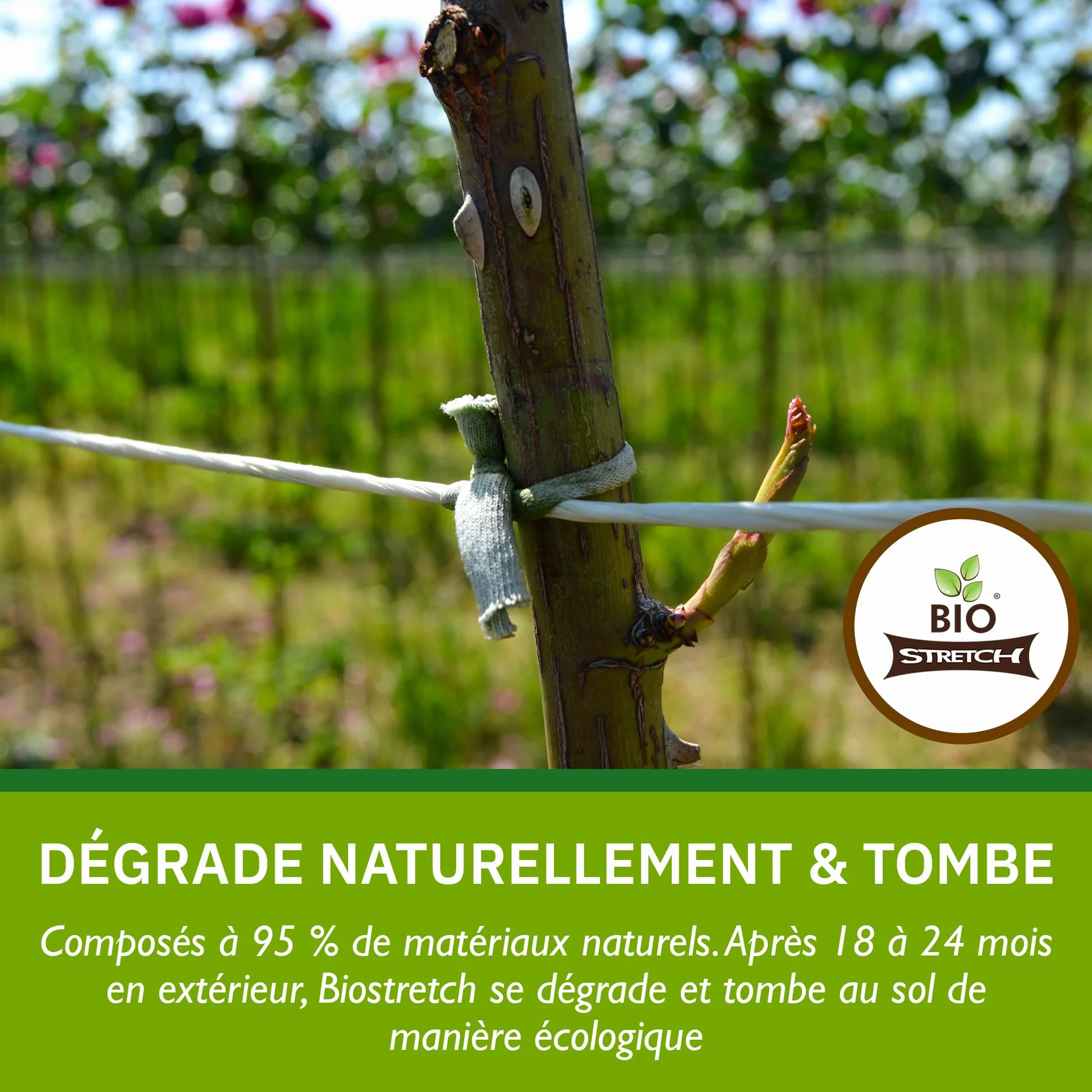 Bio-Stretch Liens de Jardin Souples pour Plantes d’Intérieur et d’Extérieur – Résistants et Extensibles, Ficelle Découpable pour Plantes Grimpantes, Tomates et Jardinage à Domicile (40m / Vert)