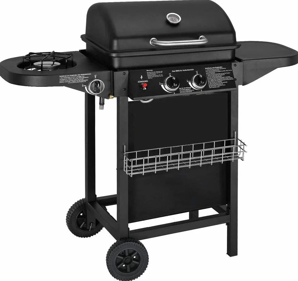 Barbecue à gaz avec 2 brûleurs à gaz compacts, brûleurs latéraux, grilles de barbecue, tables latérales et voiture en acier, 8,7 kW