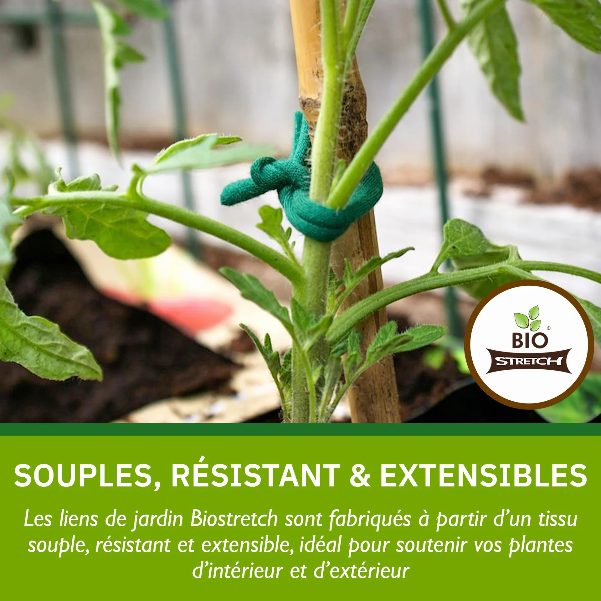 Bio-Stretch Liens de Jardin Souples pour Plantes d’Intérieur et d’Extérieur – Résistants et Extensibles, Ficelle Découpable pour Plantes Grimpantes, Tomates et Jardinage à Domicile (40m / Vert)