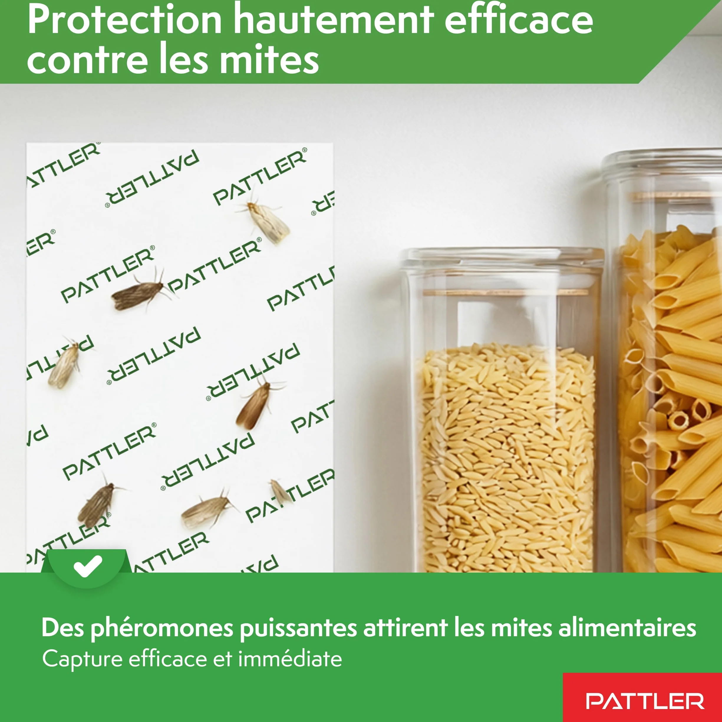 PATTLER Piege Mites Alimentaires Puissant à phéromone – 12 Pièces. Anti Mites Alimentaires sans Insecticide pour Garde-Manger et Cuisine. Capture e Contrôle des Infestations de Mites Alimentaires.