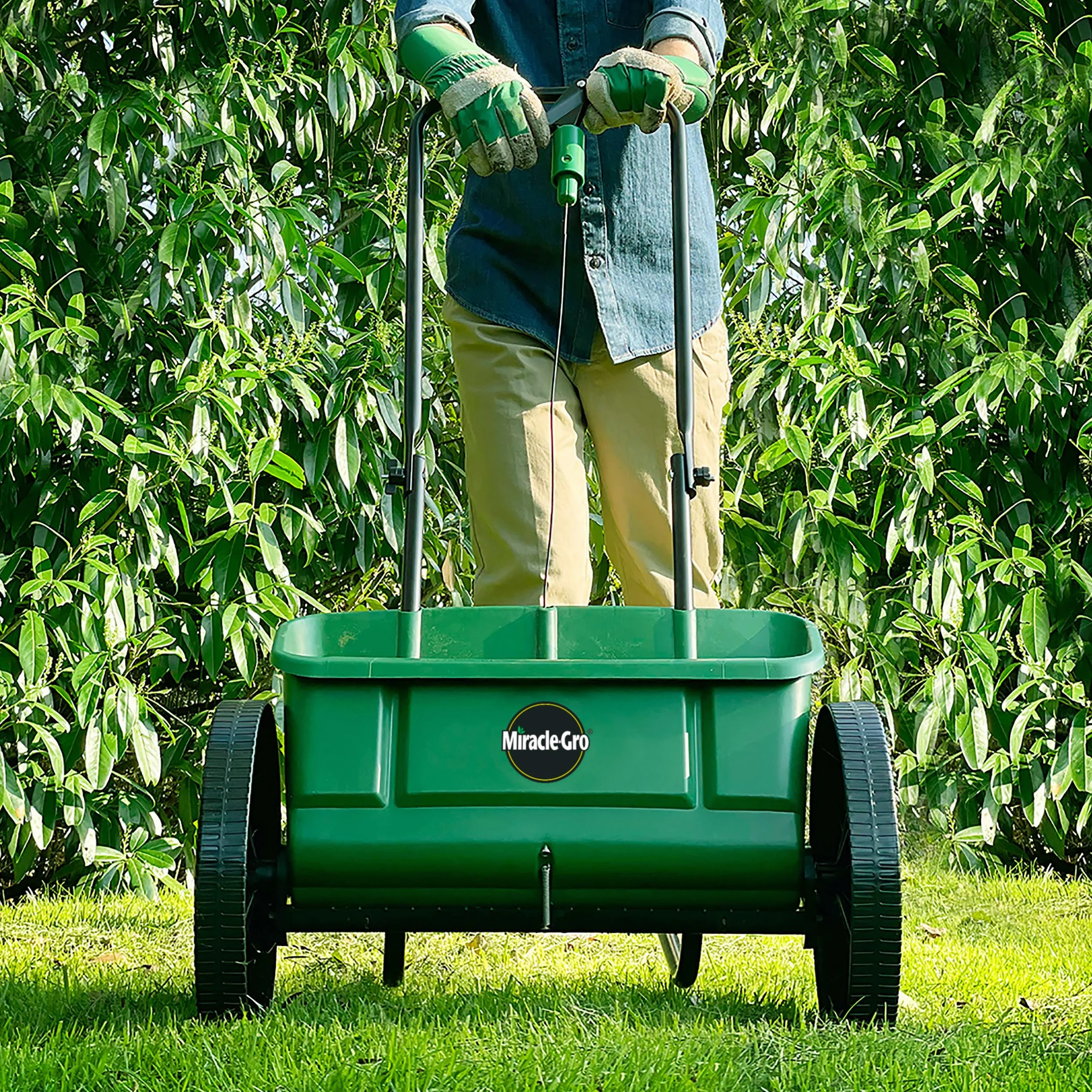 Miracle-Gro Épandeur de graines de pelouse